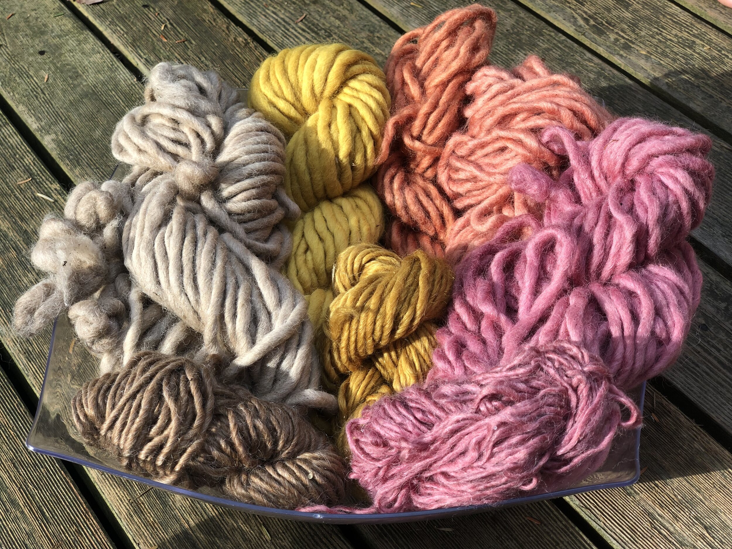 Upcoming Workshops — Wildcraft Dyeing