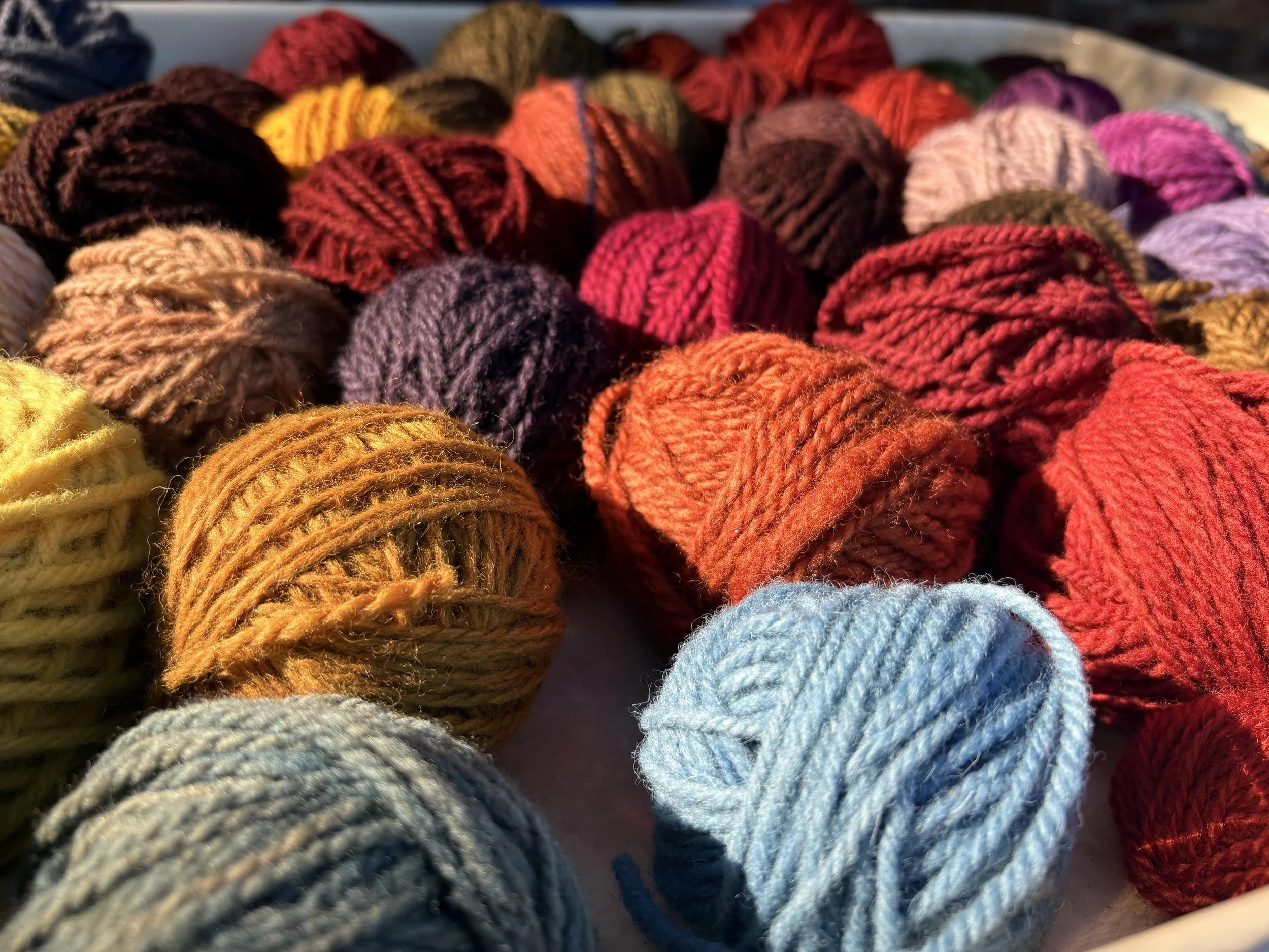 Natural Dyeing Workshop for Indigenous Youth: Blending Traditional Coast Salish Knowledge with Science