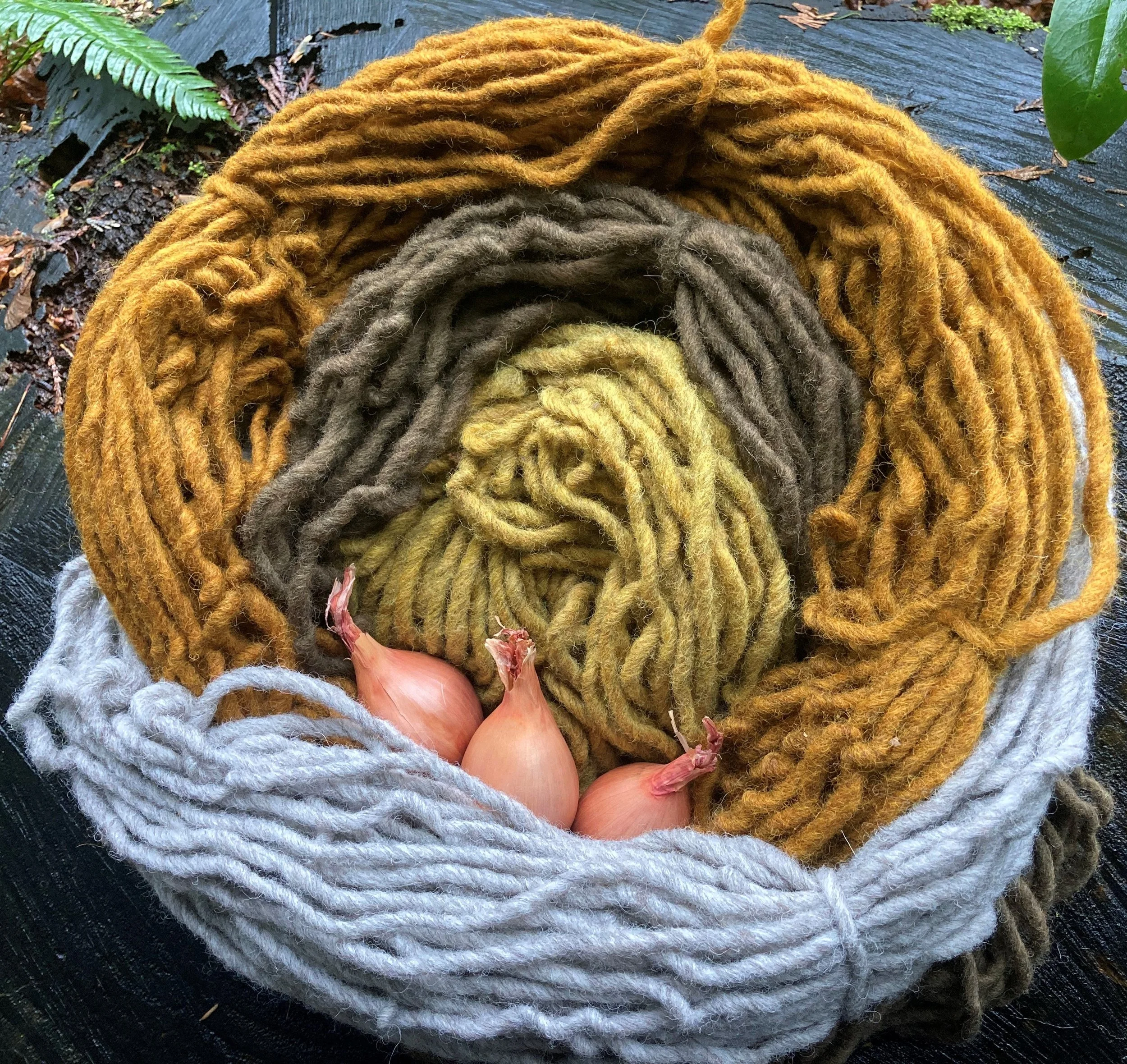 Onions_photo 3.jpg