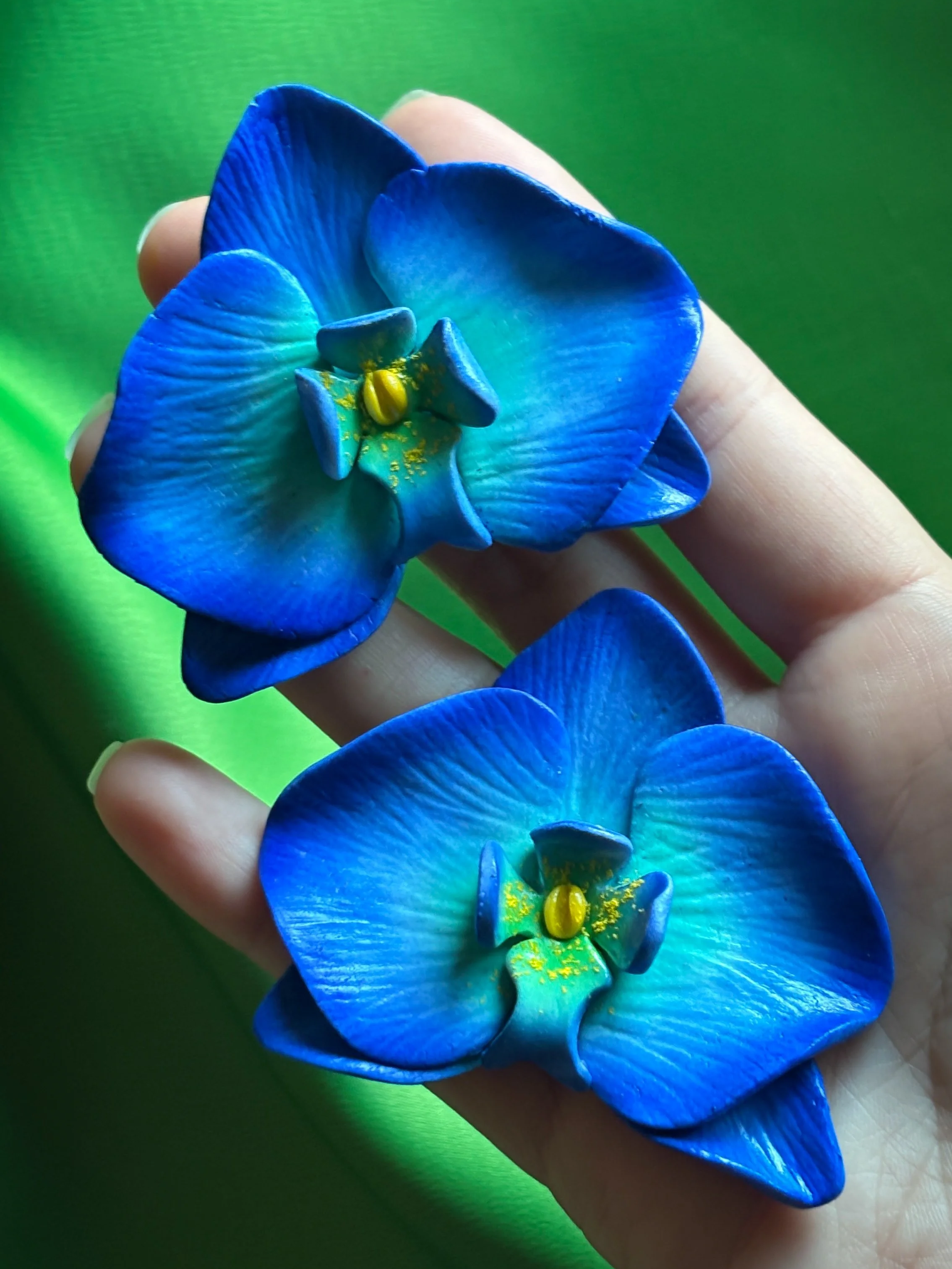 IMG_8168.png
