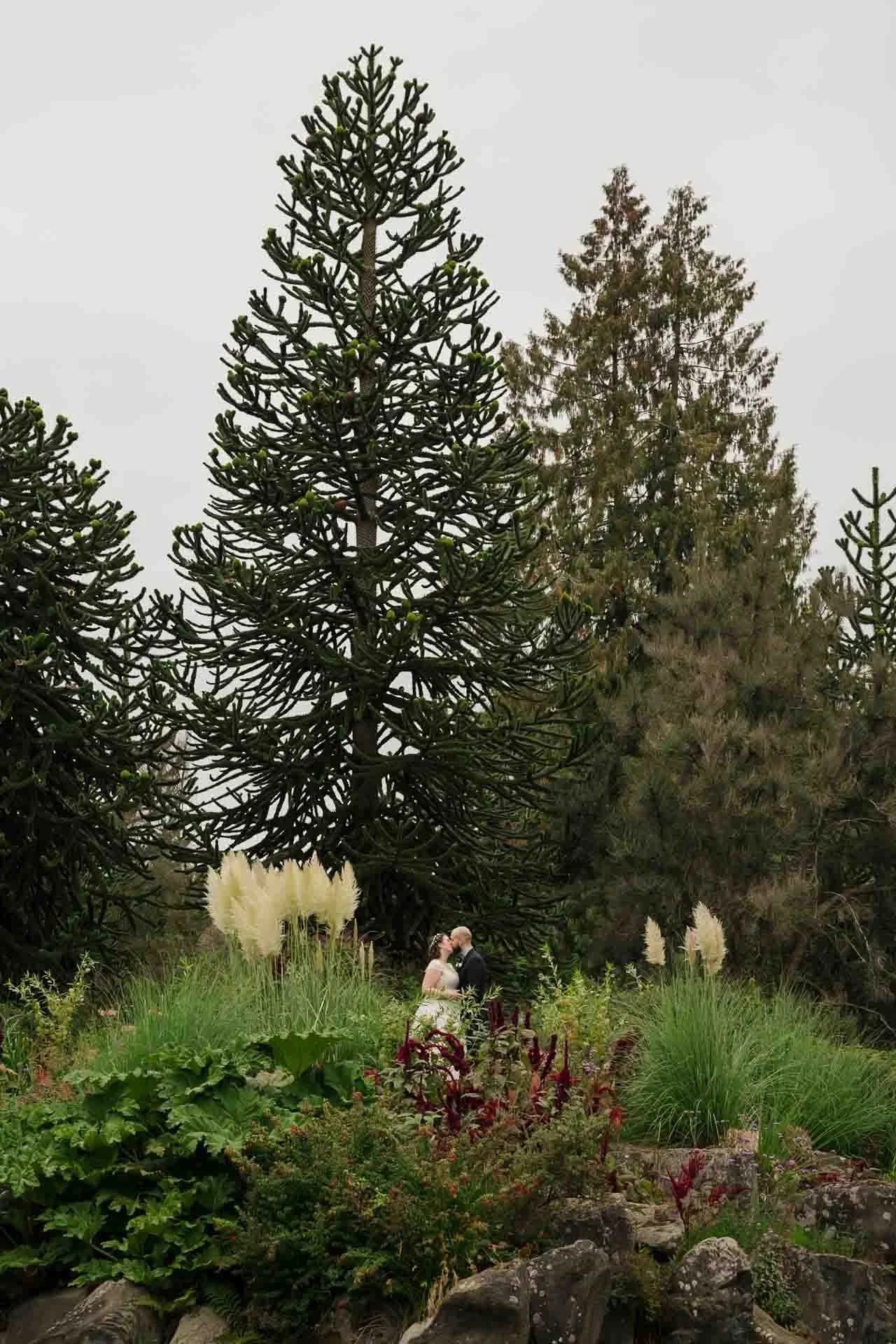 wedding photographer cost 007.jpg