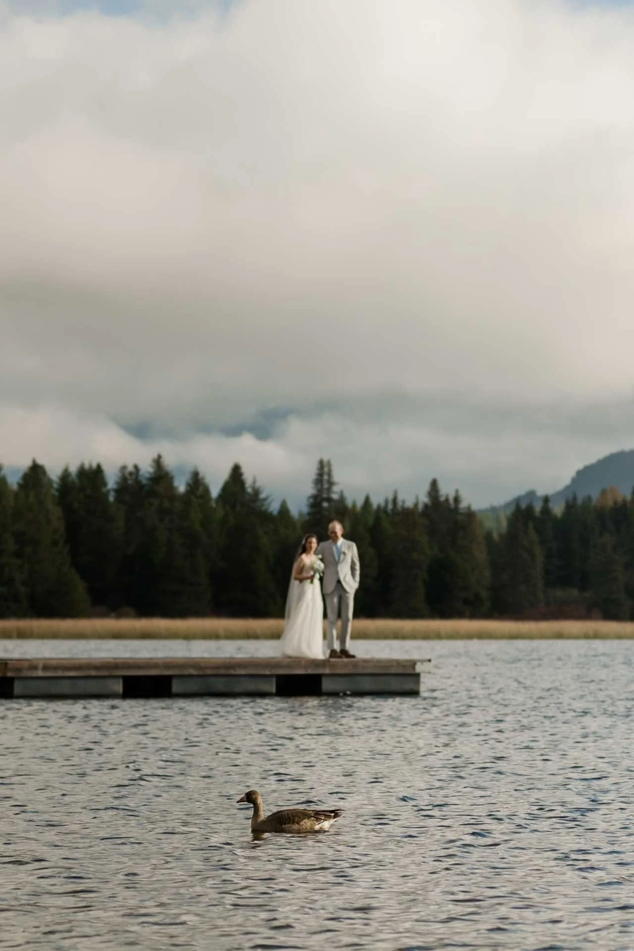 whistler wedding location 022.jpg