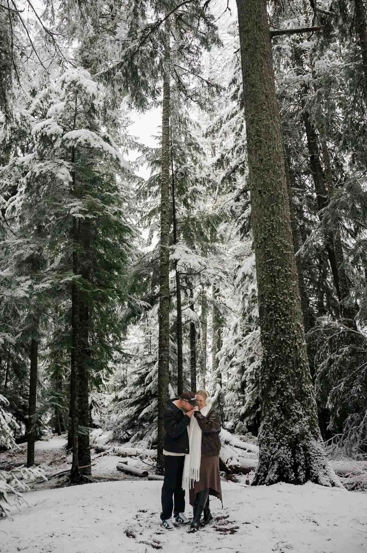 whistler proposal locations 023.jpg