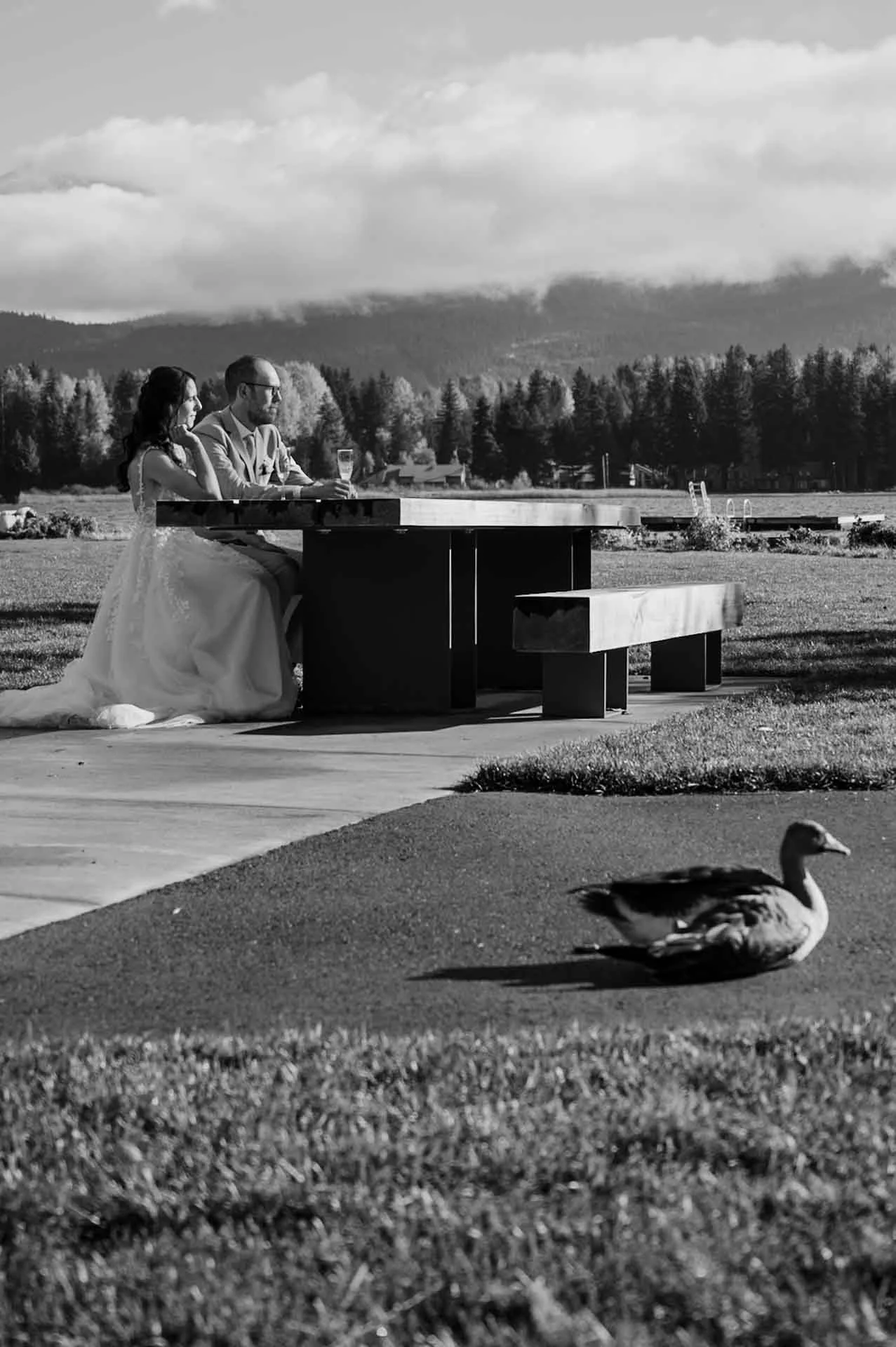 whistler elopement photographer 14.jpg