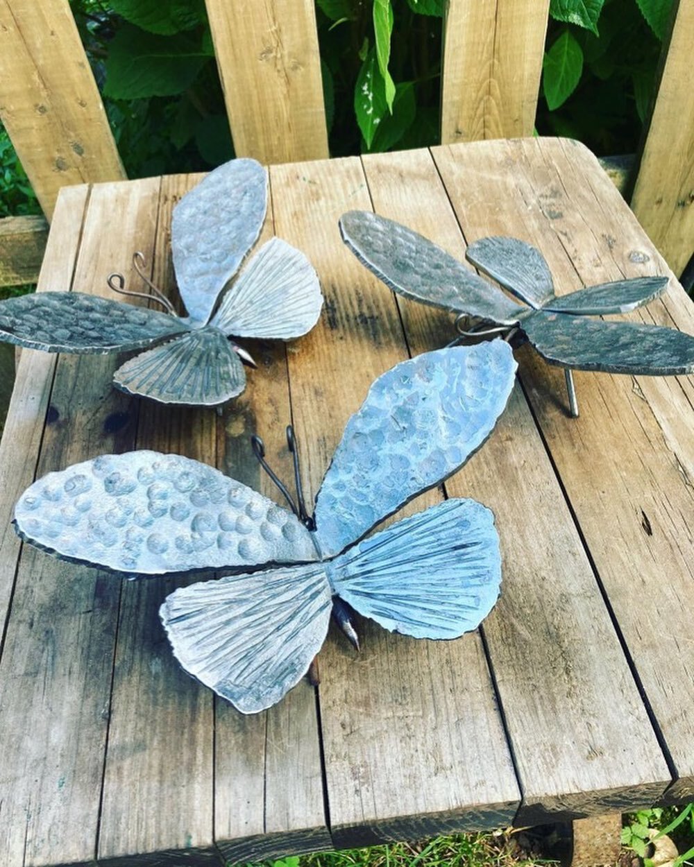 Butterflies pollinate through their legs and mouthparts. When they land on a flower the small pollen parts stick to their legs. Then when the butterfly lands on a new flower the pollen on their leg is transfers.

New in the shop by @prometheuswelding