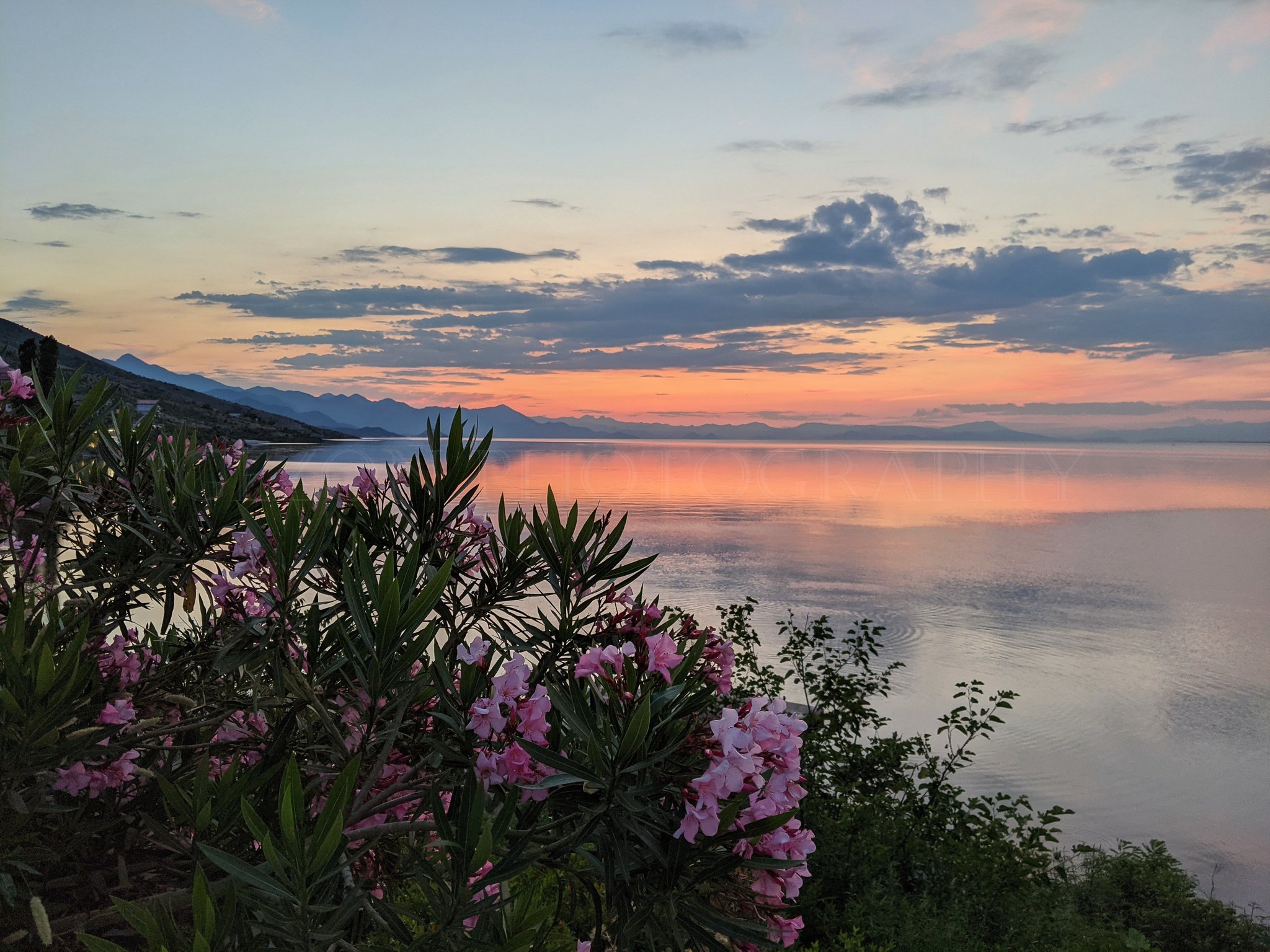 LAKE SHKODRA - SHKODER, ALBANIA