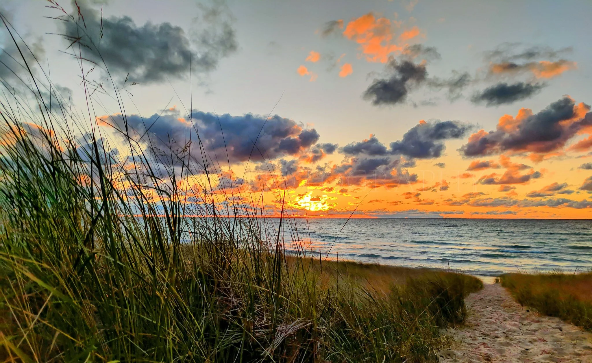 ANOTHER DAY IN PARADISE 