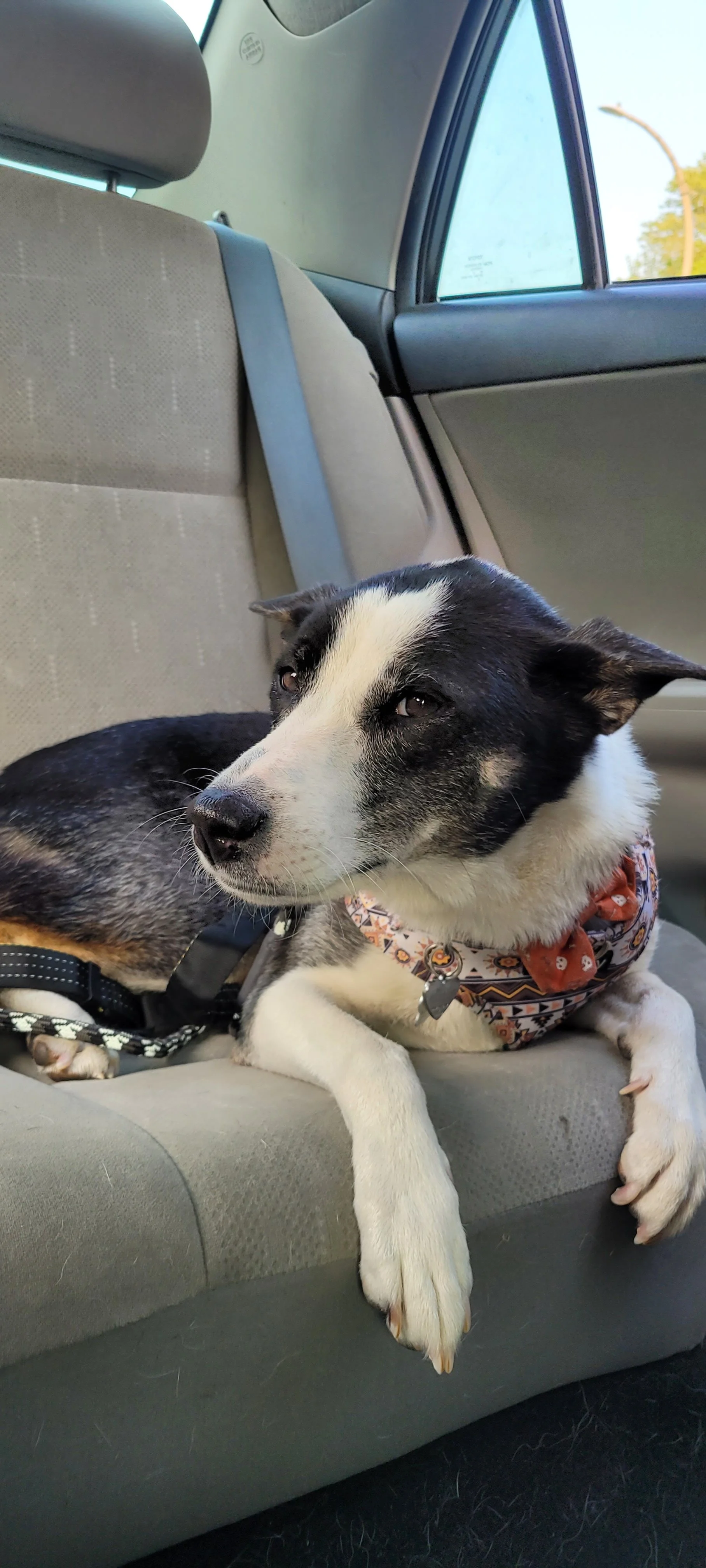 20250805_190548 (1).jpg