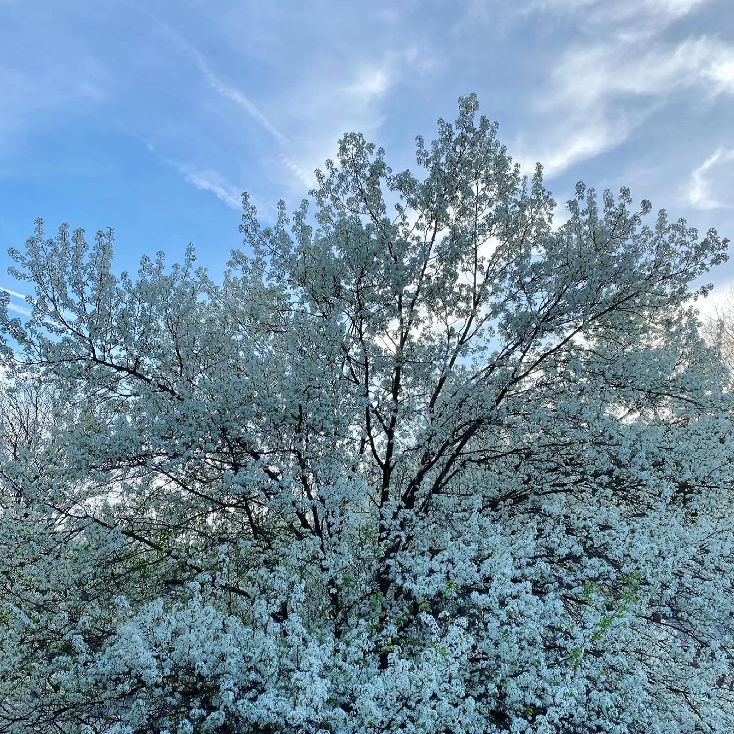 TIPS FOR NEW &amp; ASPIRING GARDENERS