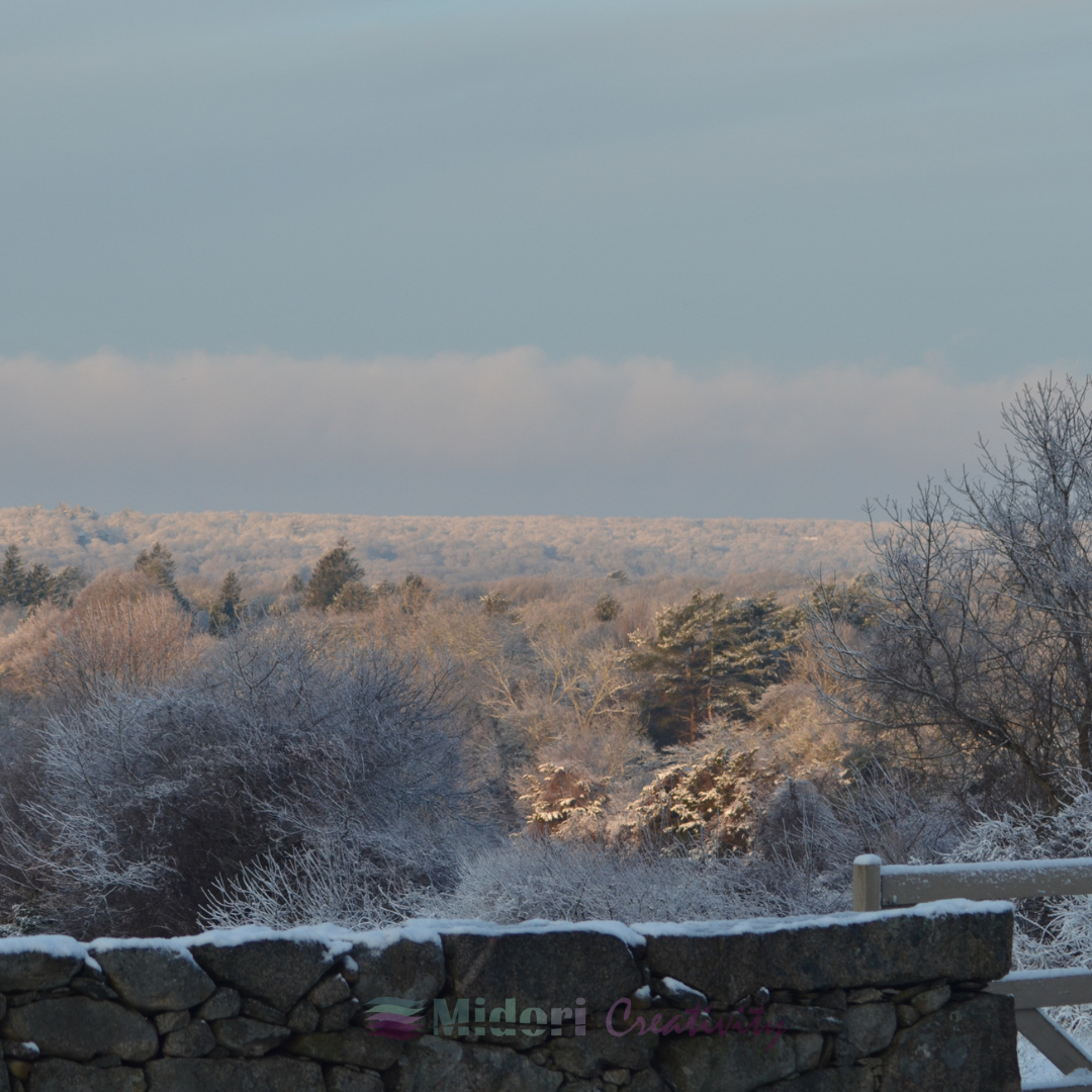 winter landscape with snow-dusted trees and a distant forest under a pale blue sky, viewed over a stone wall