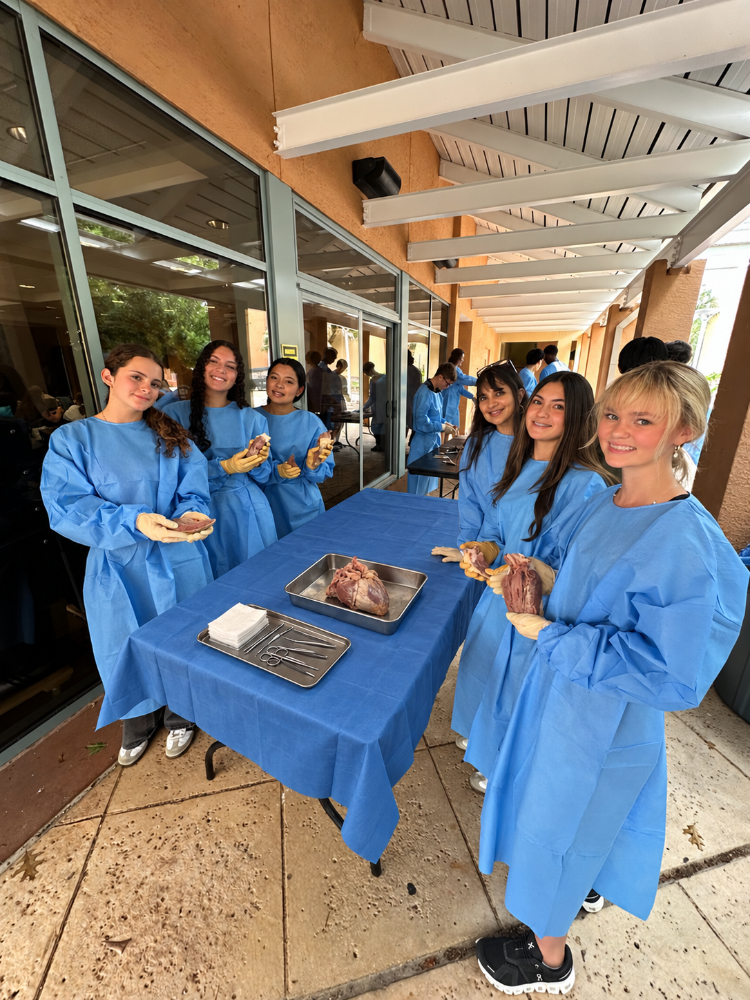 Bovine heart dissection workshop.png