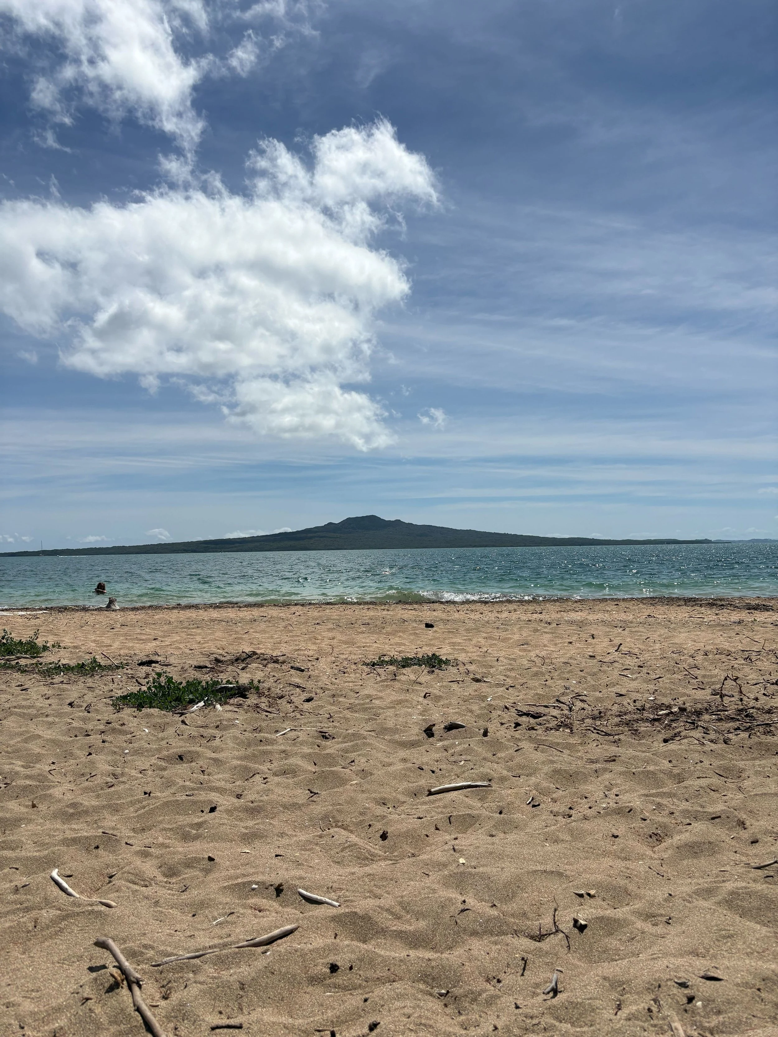 Sandy beach with scattered driftwood and small green plants, ocean water in the background, and a mountain and partly cloudy sky overhead.