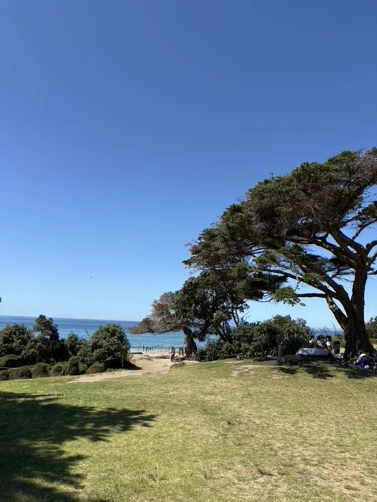 Strategic Insights & Business Strategy