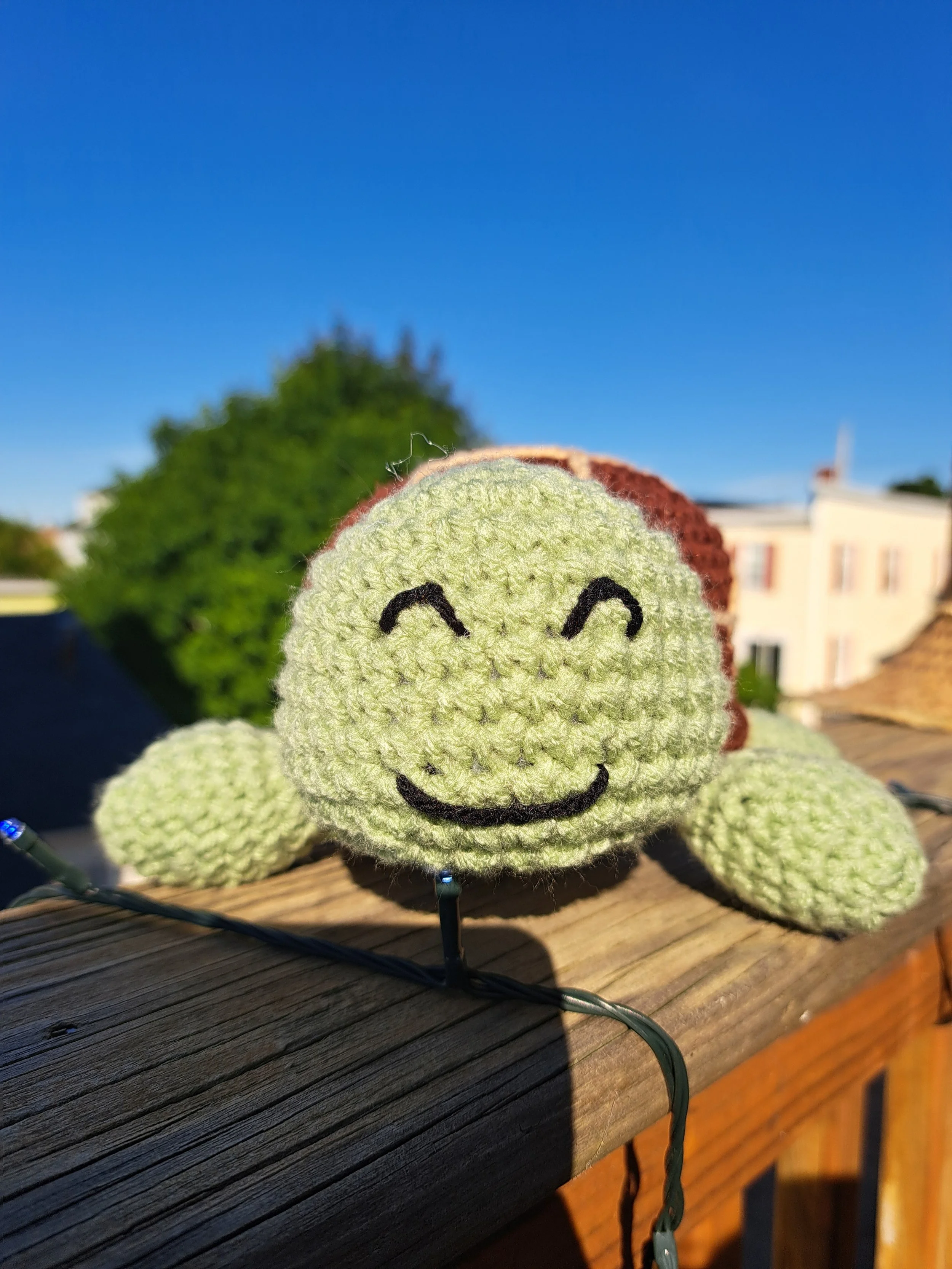 Turtle