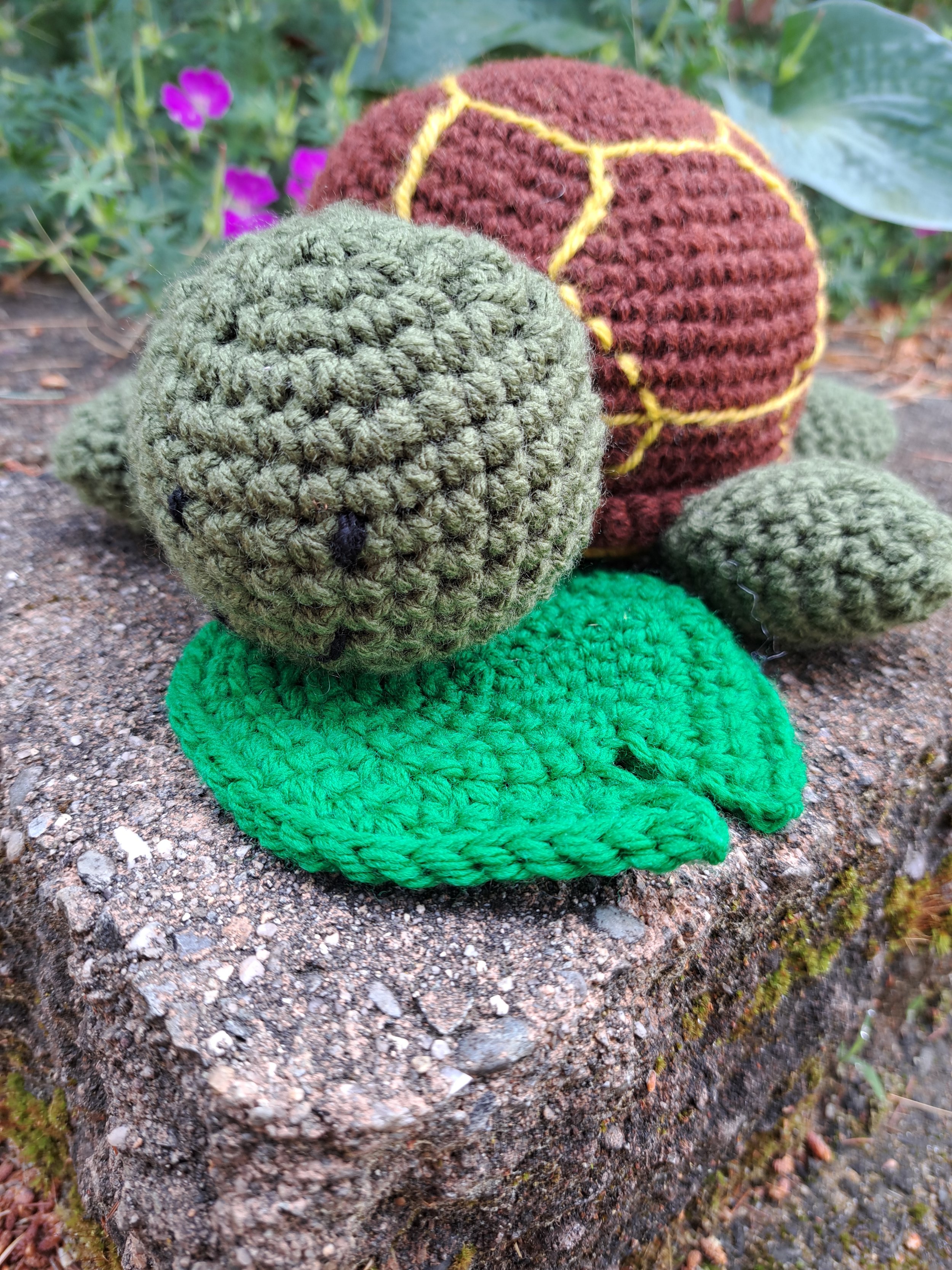 Turtle