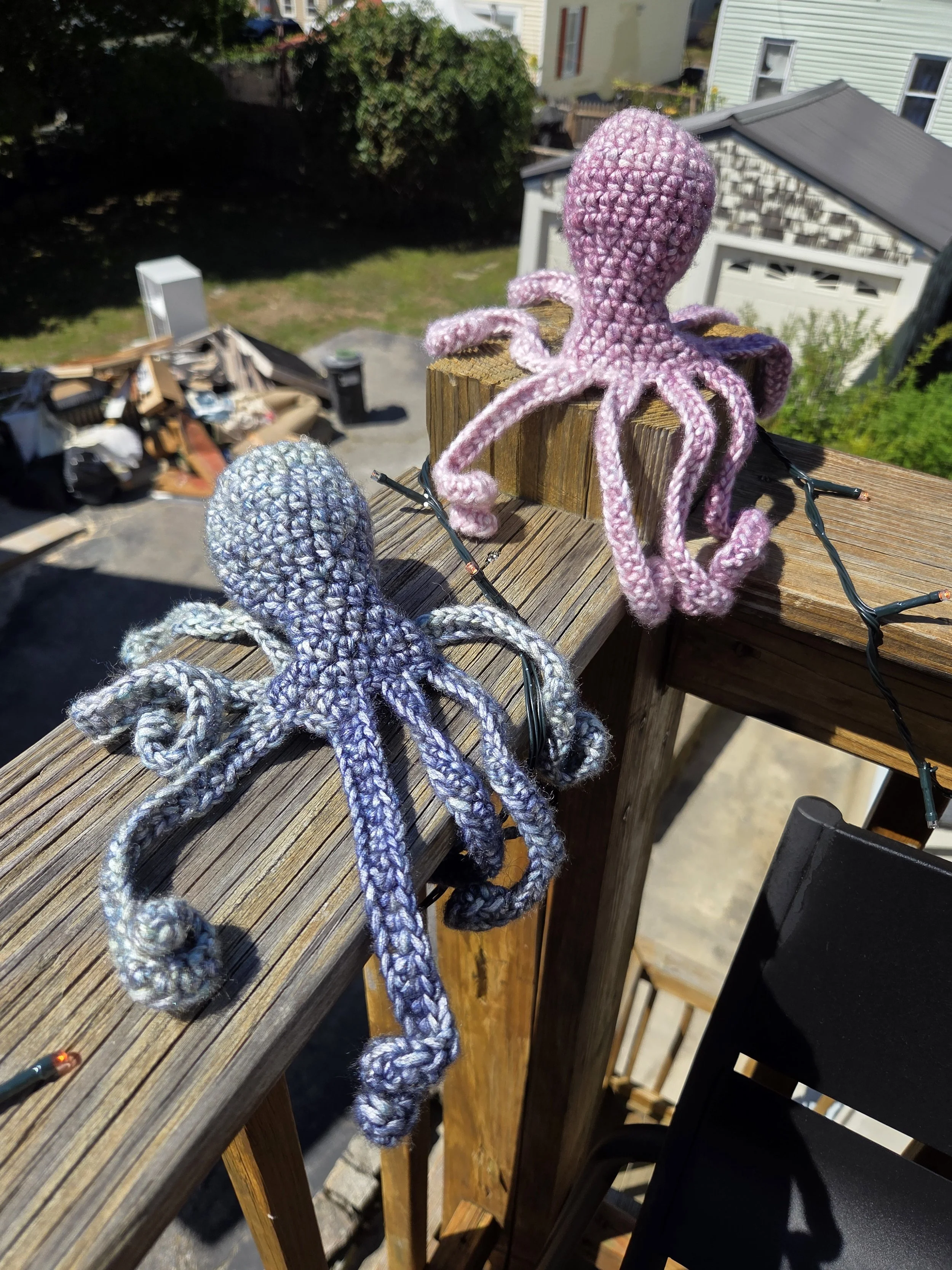 Octopus