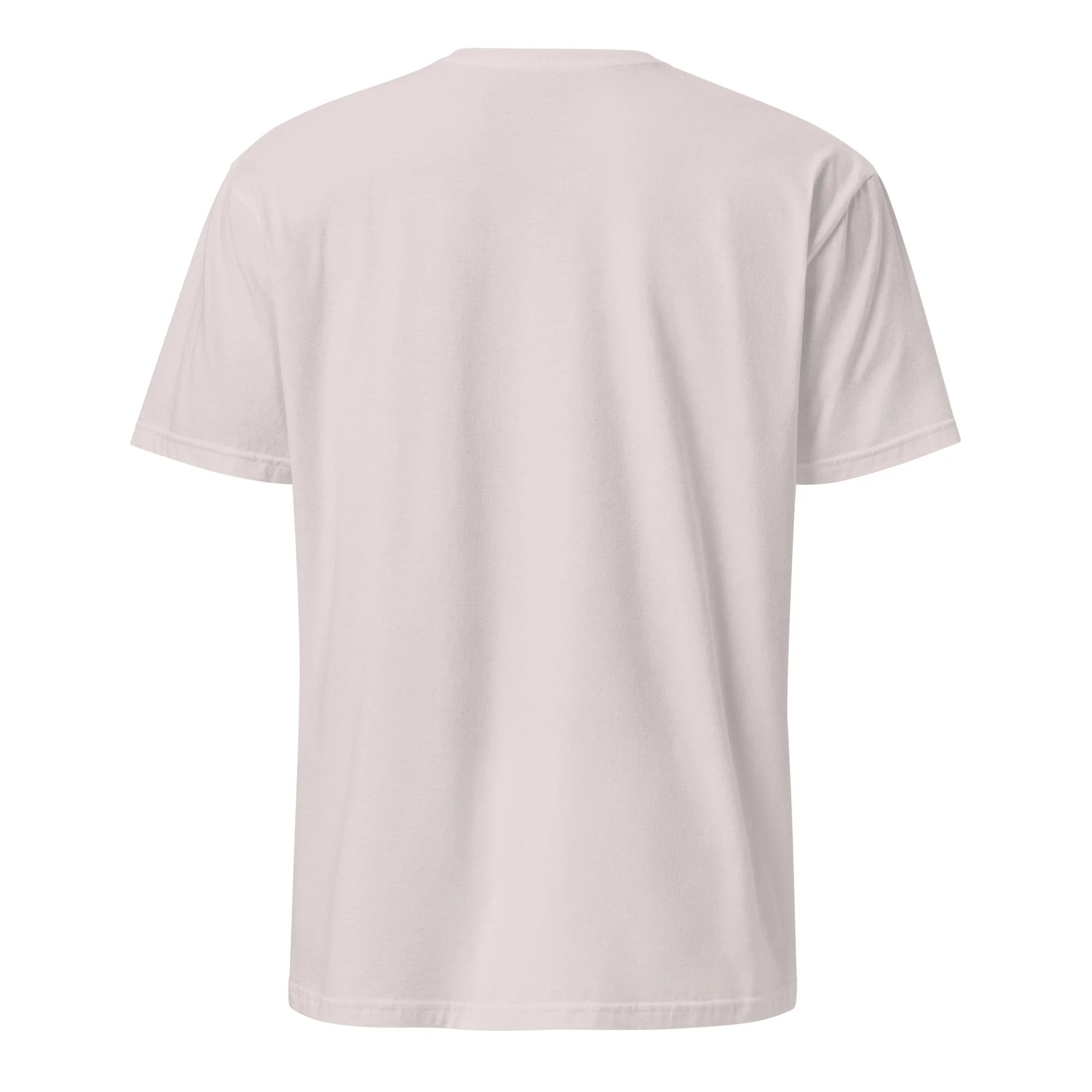unisex-basic-softstyle-t-shirt-ice-grey-back-687eb8f7f213a.jpg