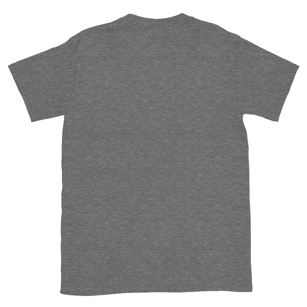 unisex-basic-softstyle-t-shirt-graphite-heather-back-6884f8f4c55e7.jpg