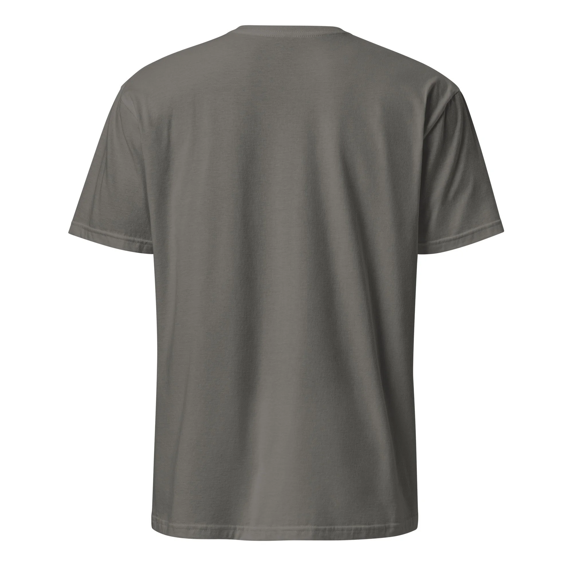 unisex-basic-softstyle-t-shirt-charcoal-back-6884f9730955c.jpg