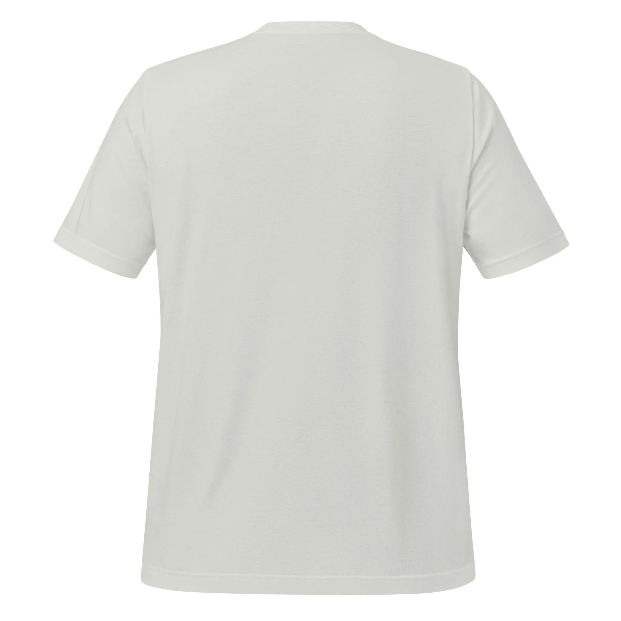 unisex-staple-t-shirt-silver-back-68853beddcb95.jpg