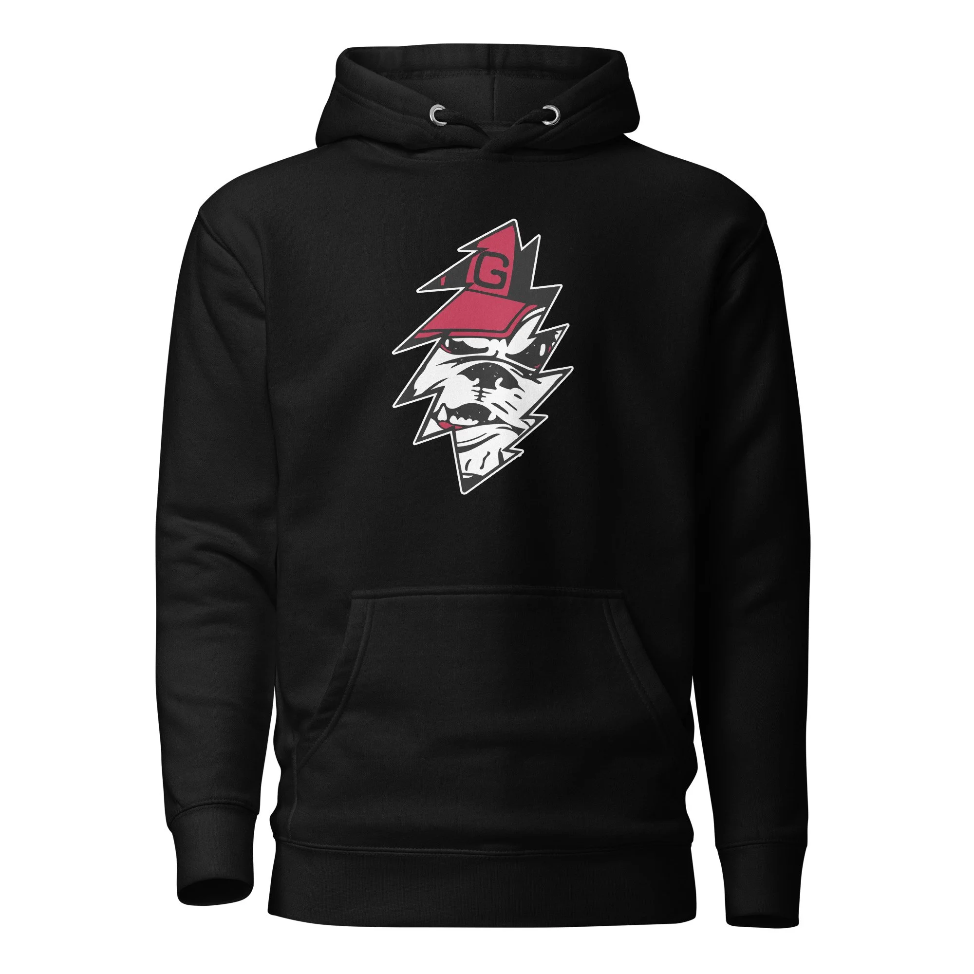 unisex-premium-hoodie-black-front-688df3dc27764.jpg