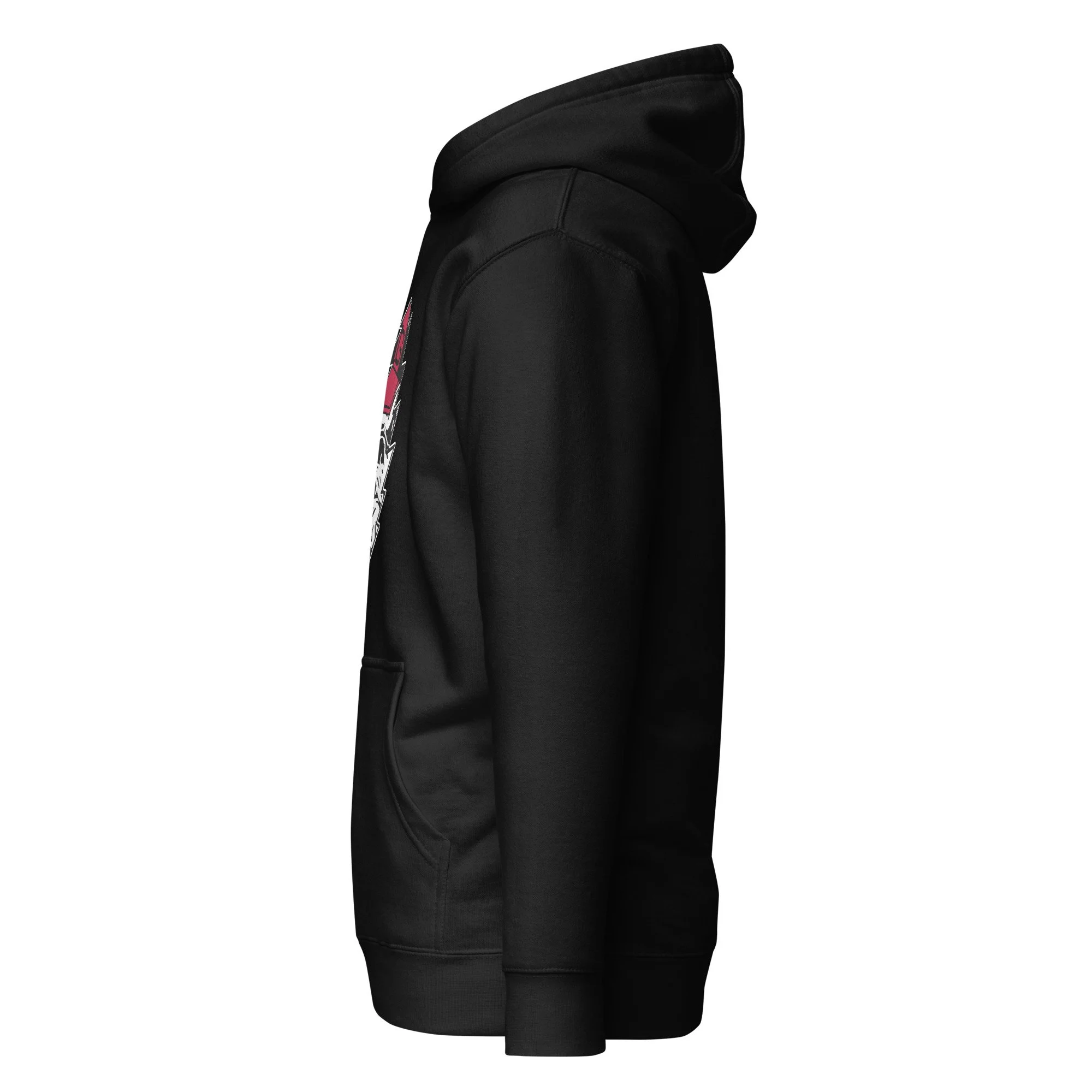unisex-premium-hoodie-black-left-688df3dc28016.jpg