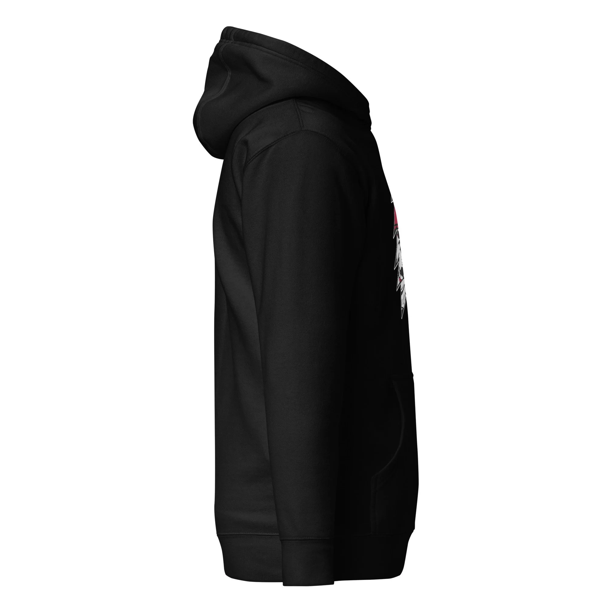 unisex-premium-hoodie-black-right-688df3dc2879a.jpg