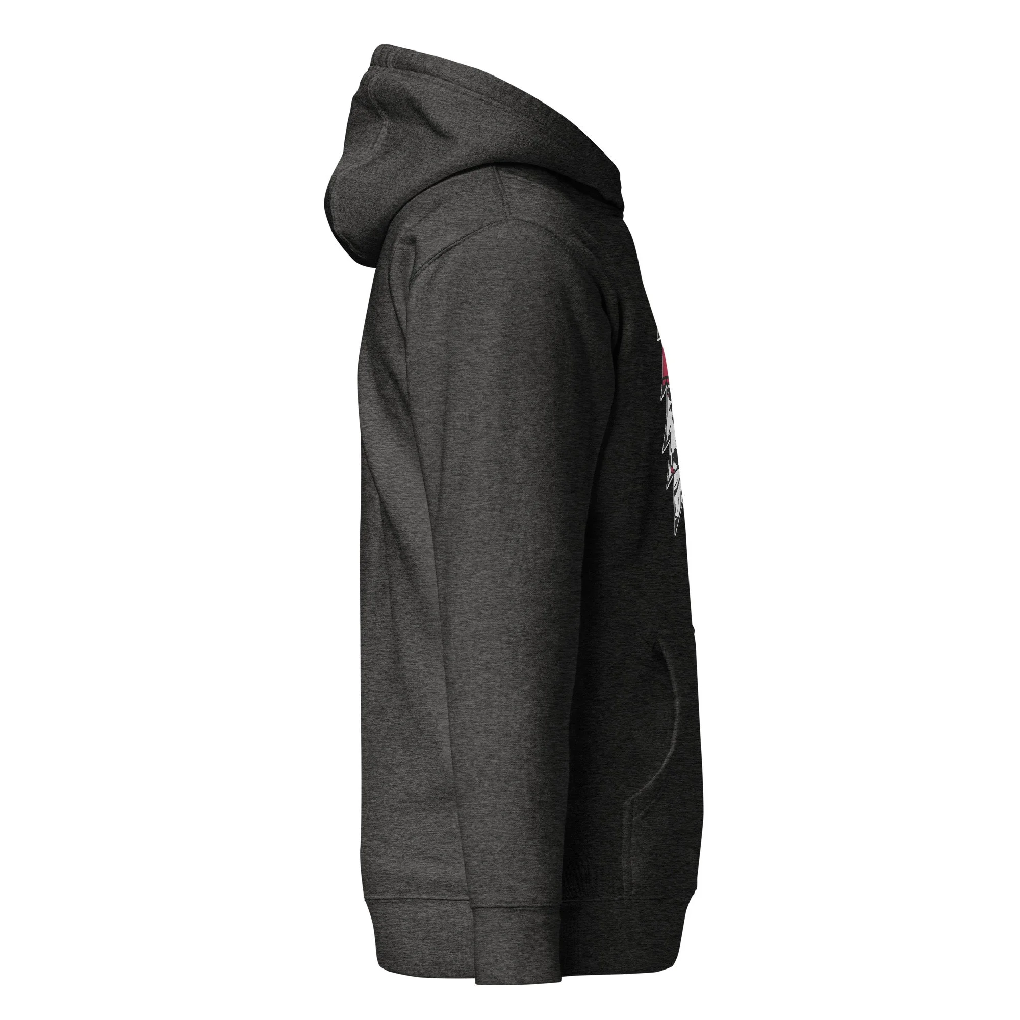 unisex-premium-hoodie-charcoal-heather-right-688df3dc2cce7.jpg