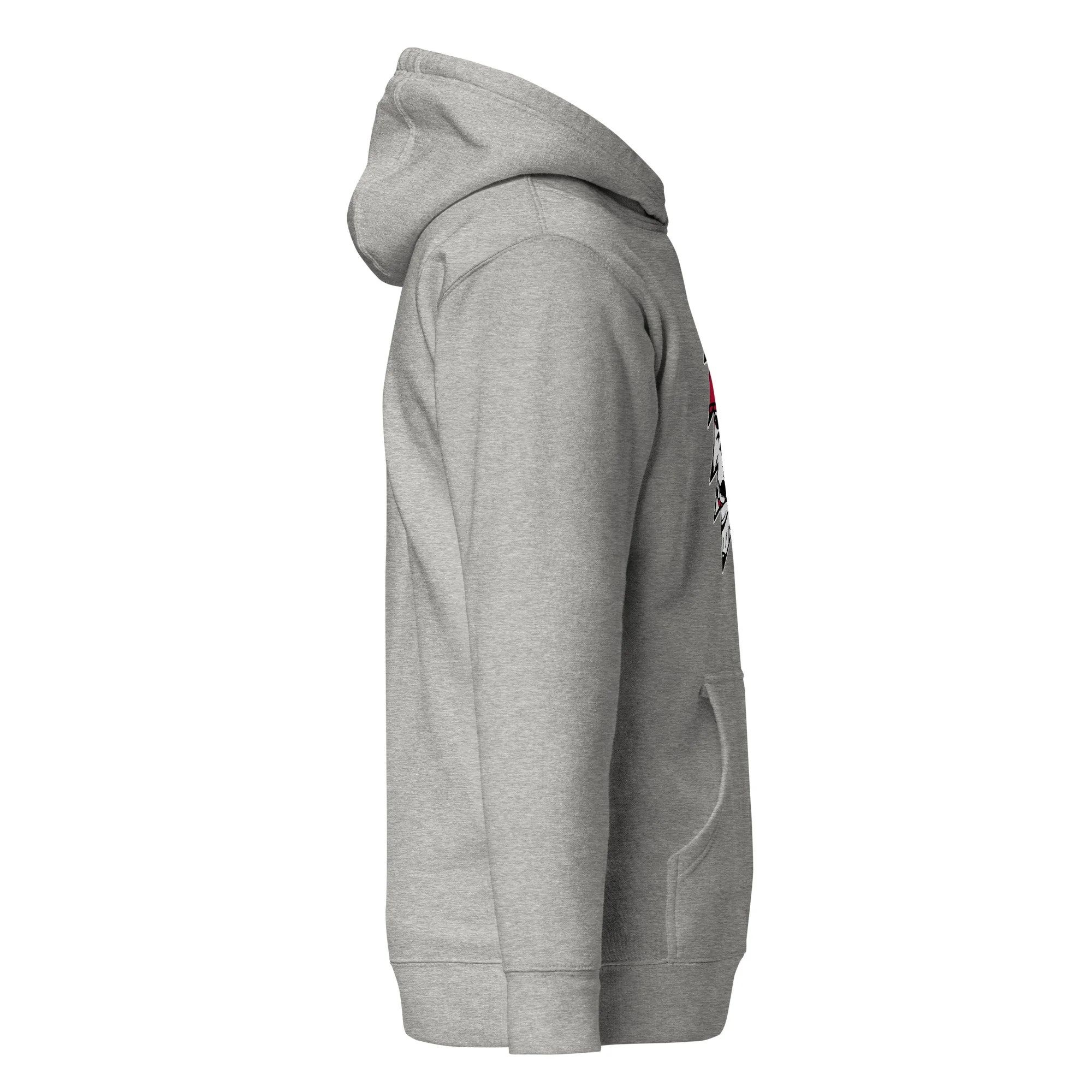 unisex-premium-hoodie-carbon-grey-right-688df3dc4e4d7.jpg