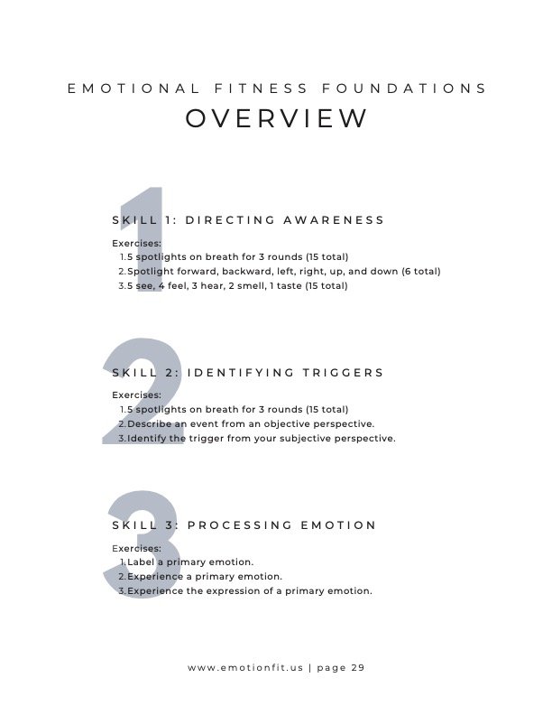 EmotionFit Program Level I - Overview.jpg