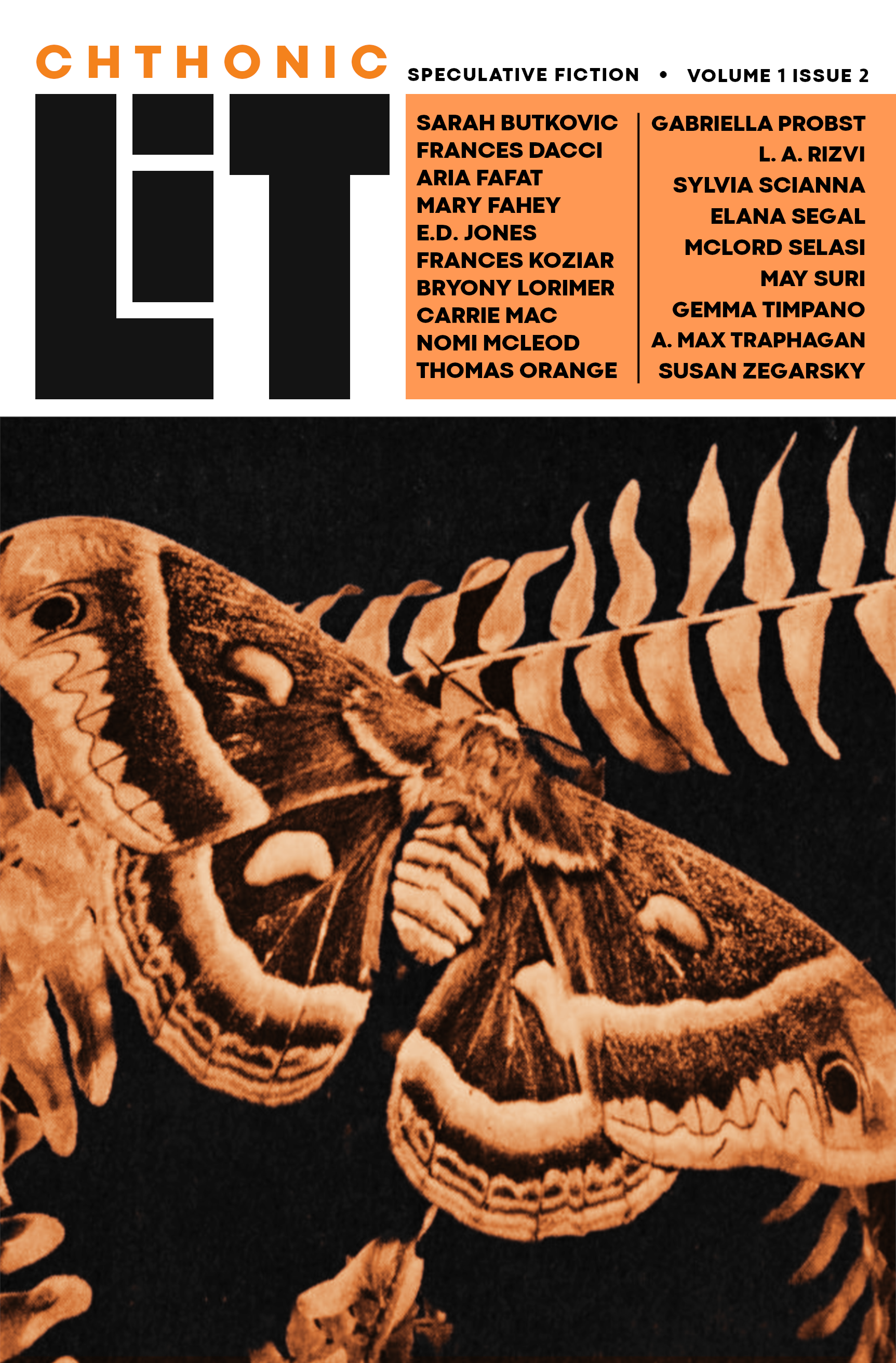 Volume 1 Issue 2 (2025)