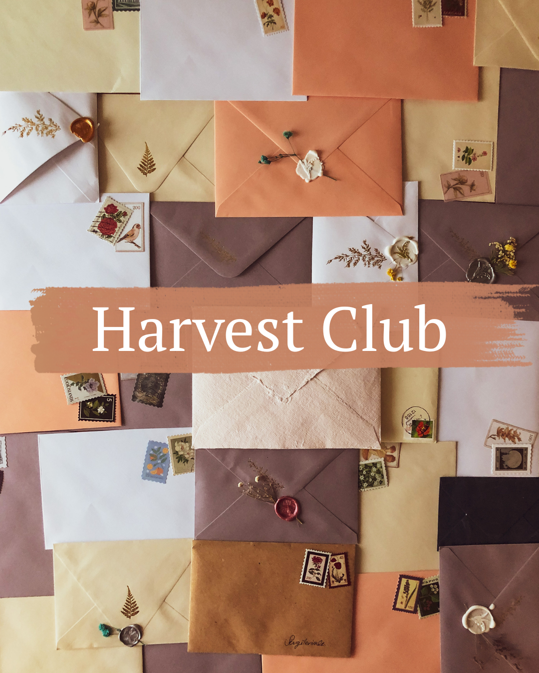 Harvest Club