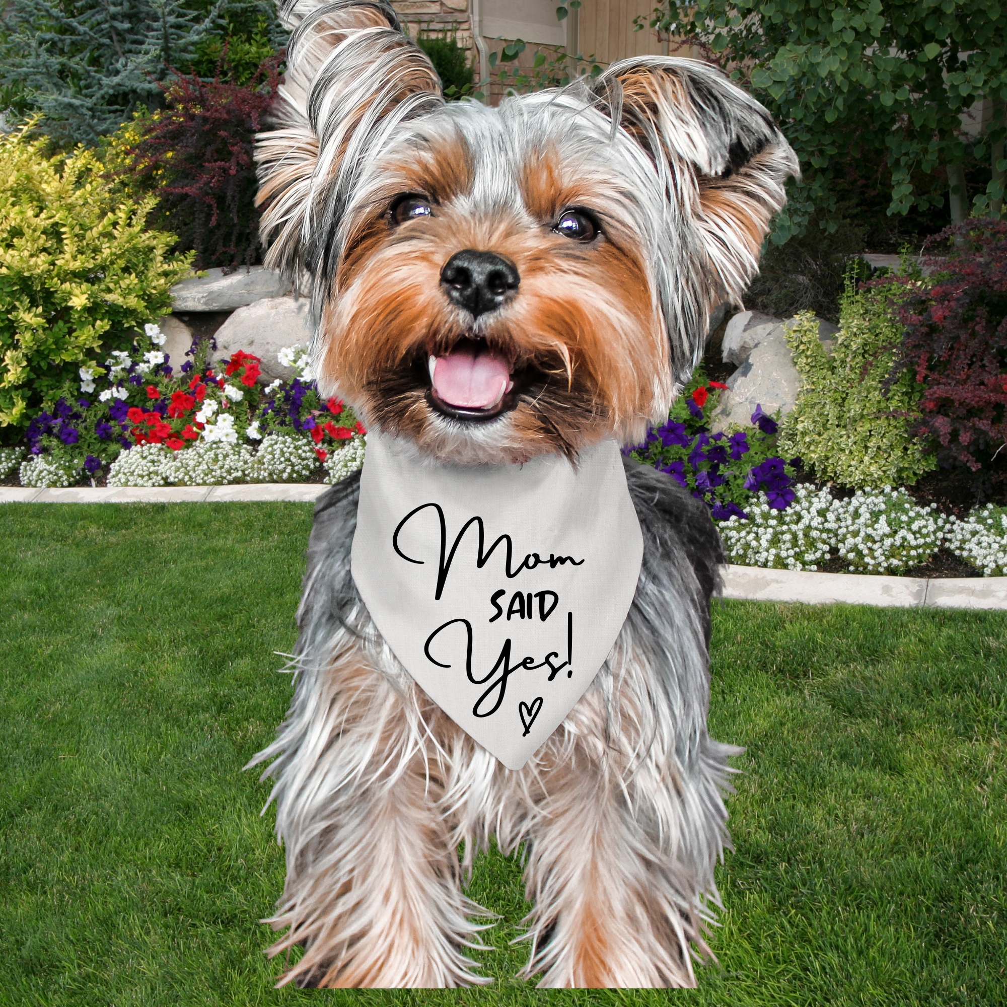 mom said yes dog bandana