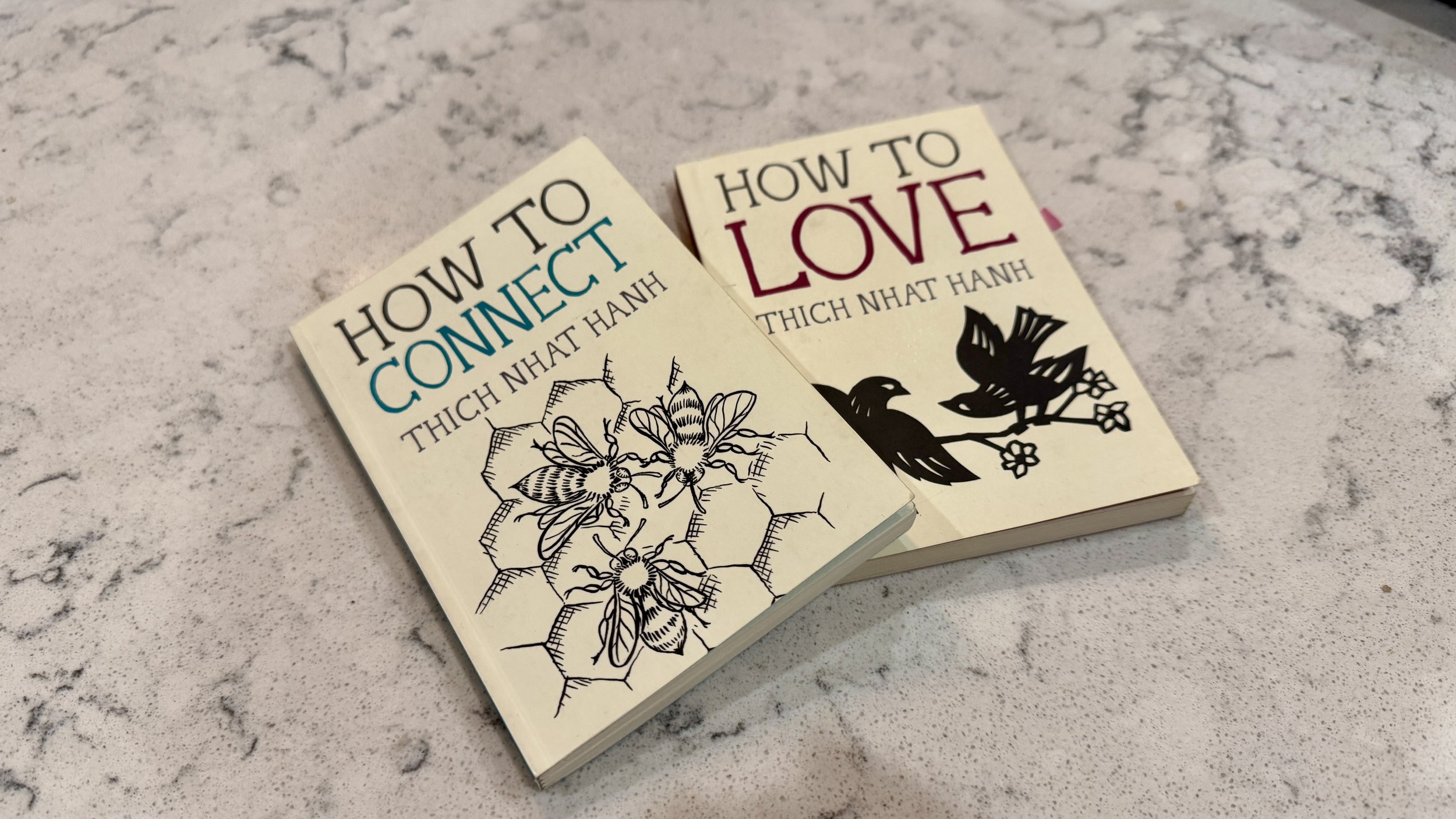 Love and Connection with Master Thich Nhat Hanh