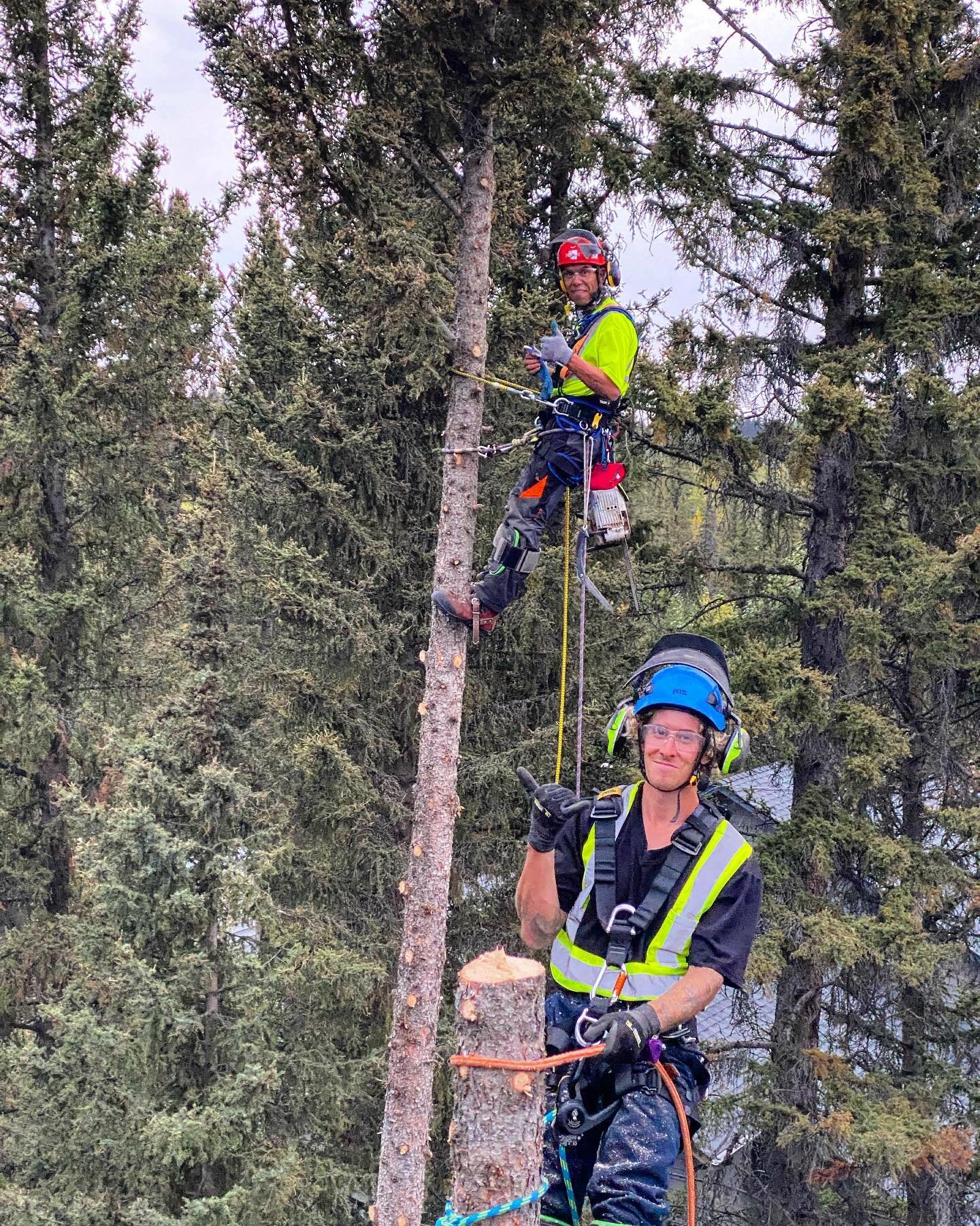 Red Mountain is growing for the 2022 season! We&rsquo;re welcoming new staff to our team in an effort to better structure ourselves to provide YOU with top quality, safe and efficient tree services at affordable prices! Our folks attend numerous rigo