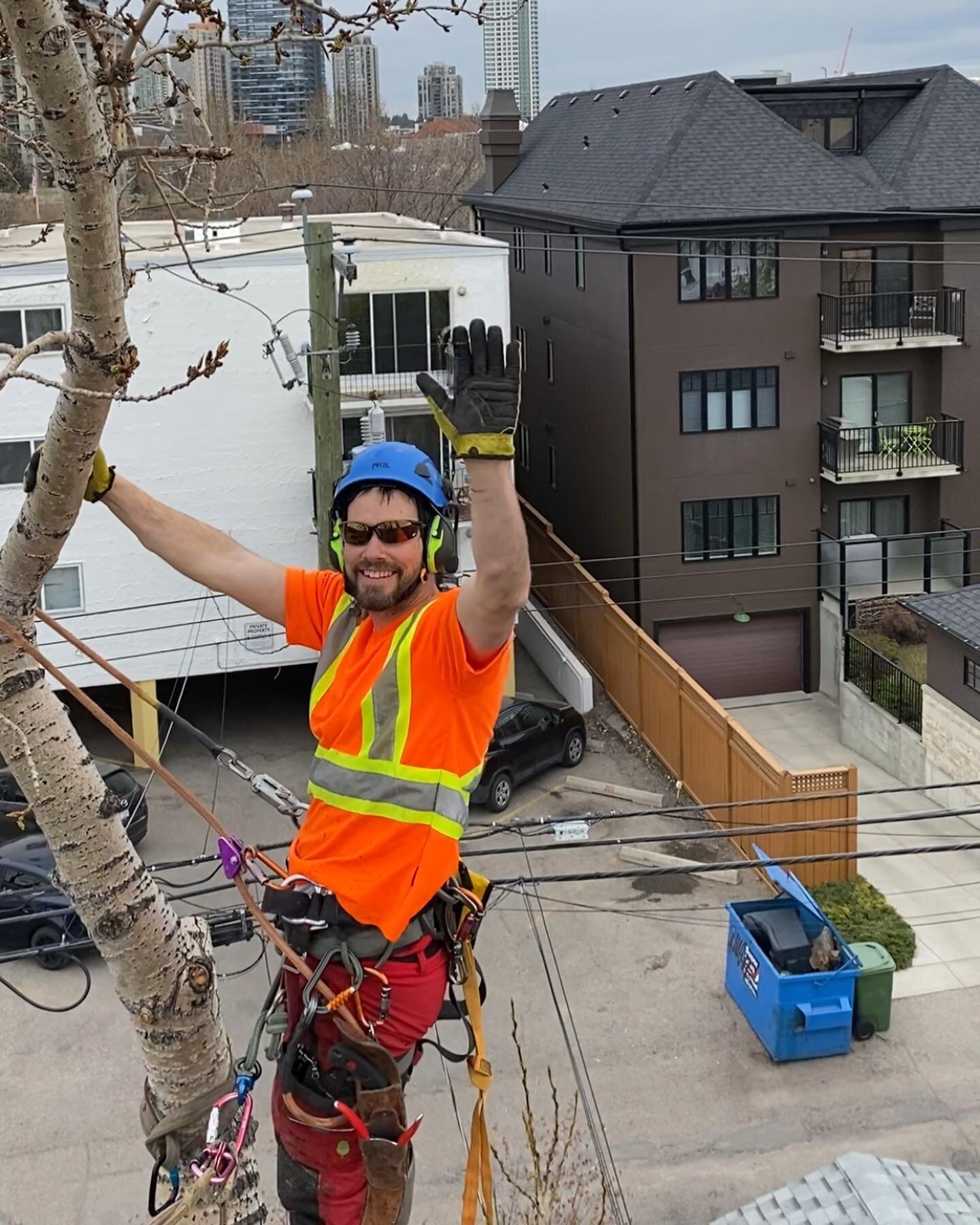 Red Mountain is growing!

We're so proud to introduce you to our newest member, Phil!

Phil has been working in the arboriculture industry since 2011, bringing a wealth of knowledge and experience to the crew! Living in Manitoba and working part-time