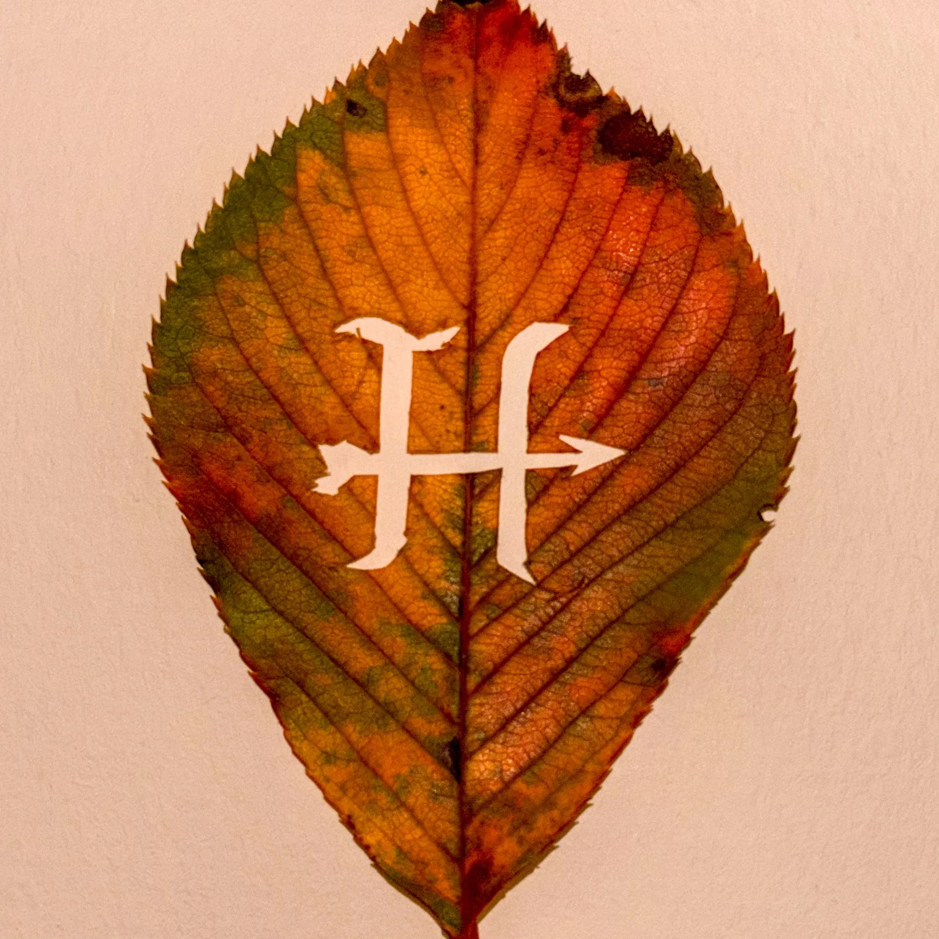 Hansel Motiram