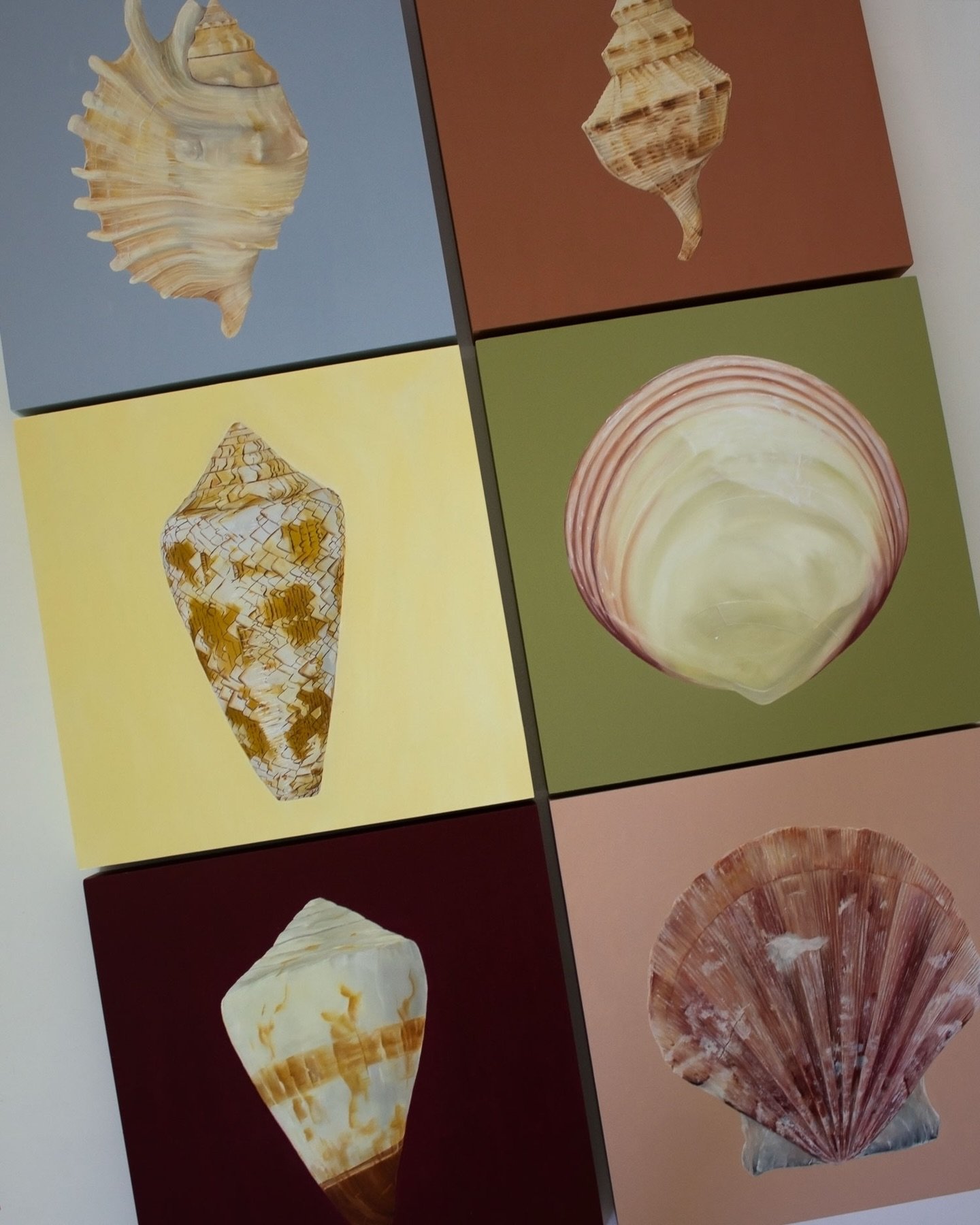 One of my favourite collections, the seashells. 

All originals have sold, but I am offering them as beautiful, archival fine art prints. Made to be collected and paired together, the same way we collect and gather shells on the beach. 

🐚 Which col