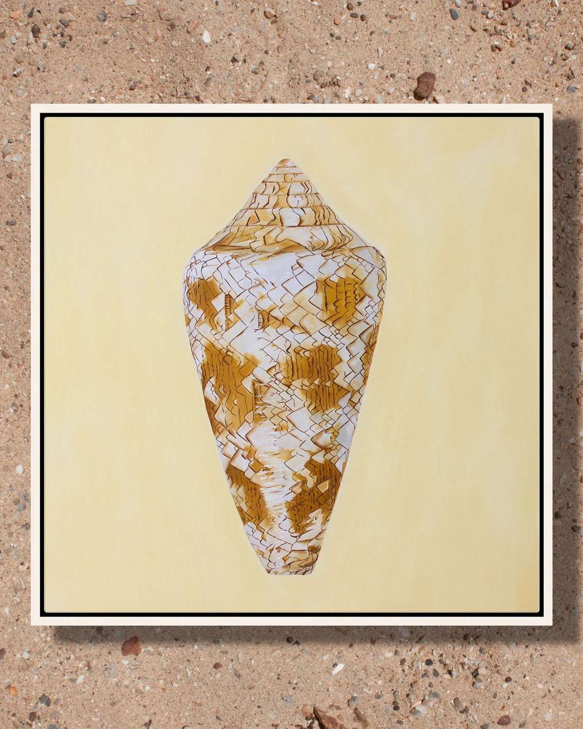 SeaShell-Painting-Queen-Sand-Pattern-And-Home.jpg