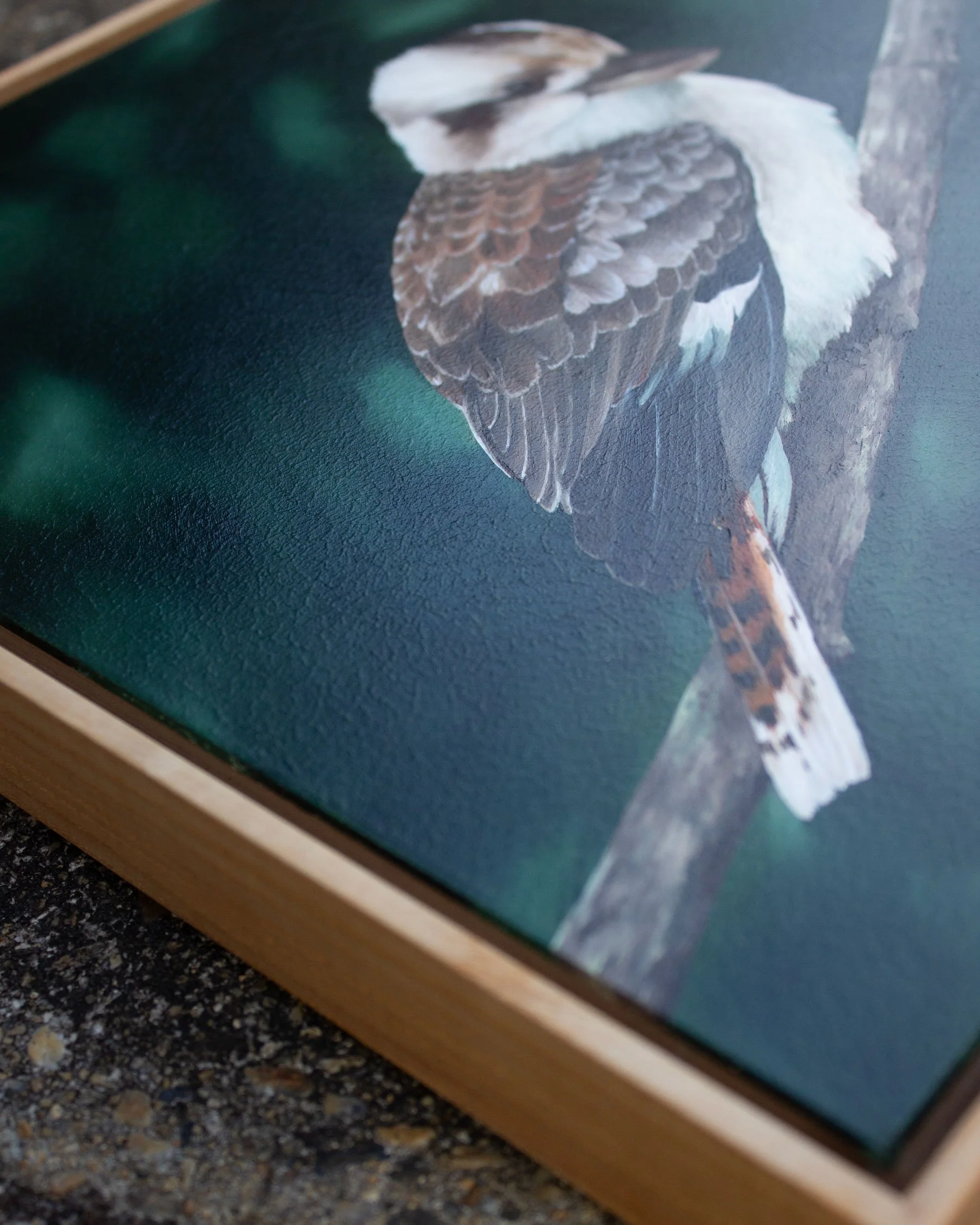 Kookaburra-Side-Sarah-Field-Painting.jpg
