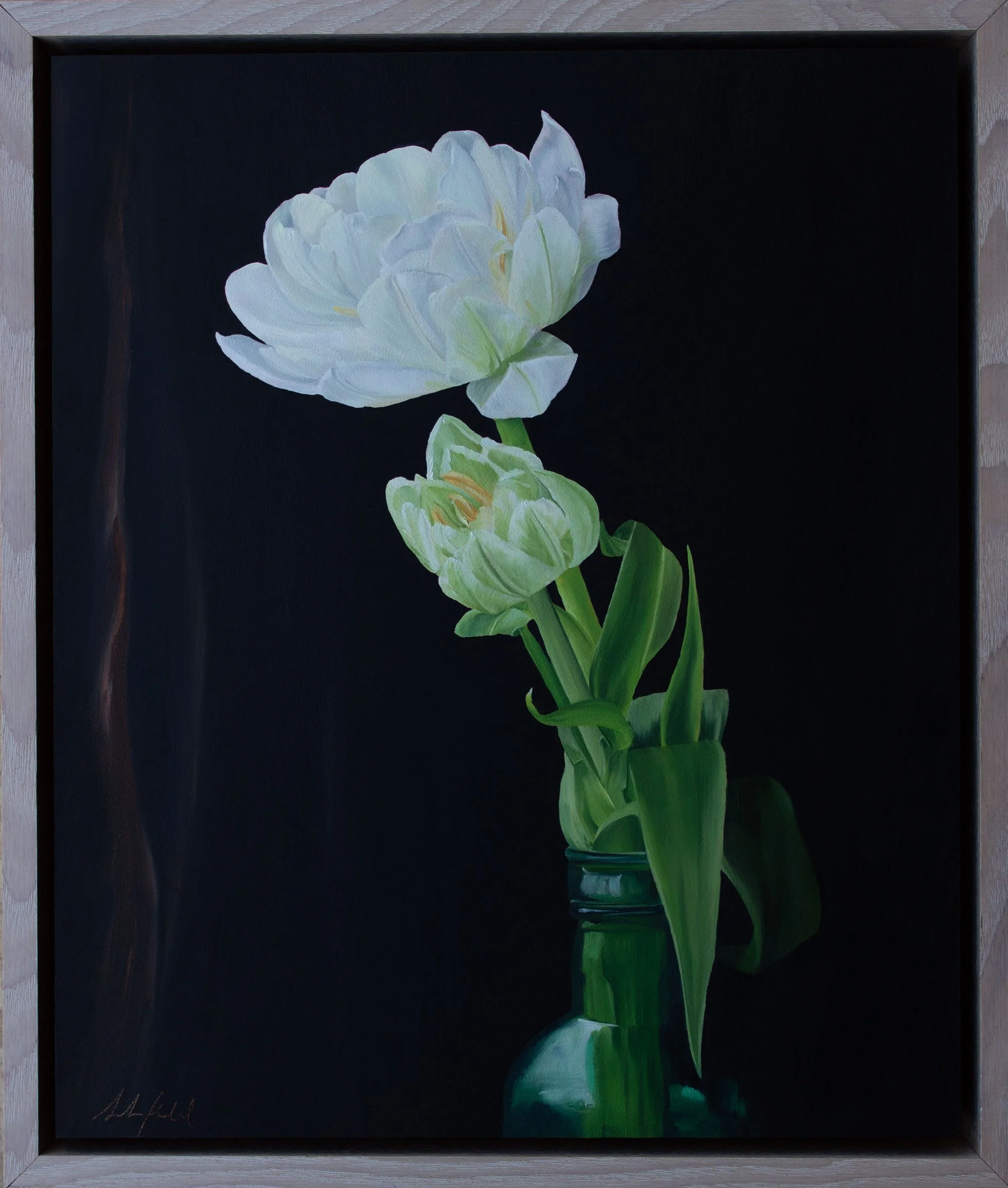 White-Tulips-Sarah-Field-Australian-Still-Life-Art.jpg
