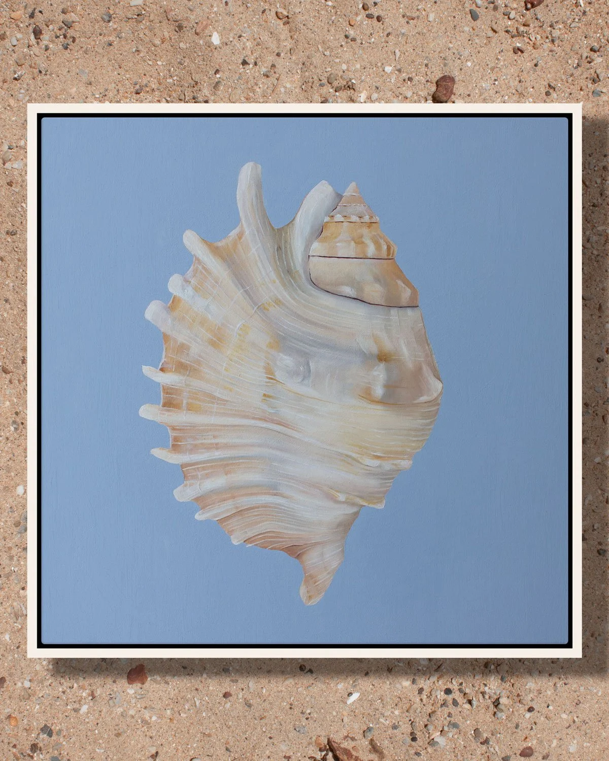 SeaShell-Painting-Calm-Sand-Pattern-And-Home.jpg
