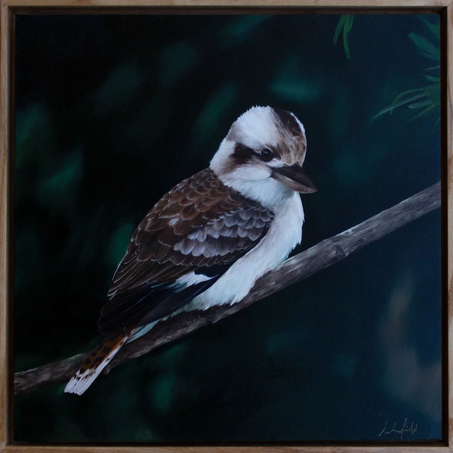 Kookaburra-Painting-Sarah-Field.jpg