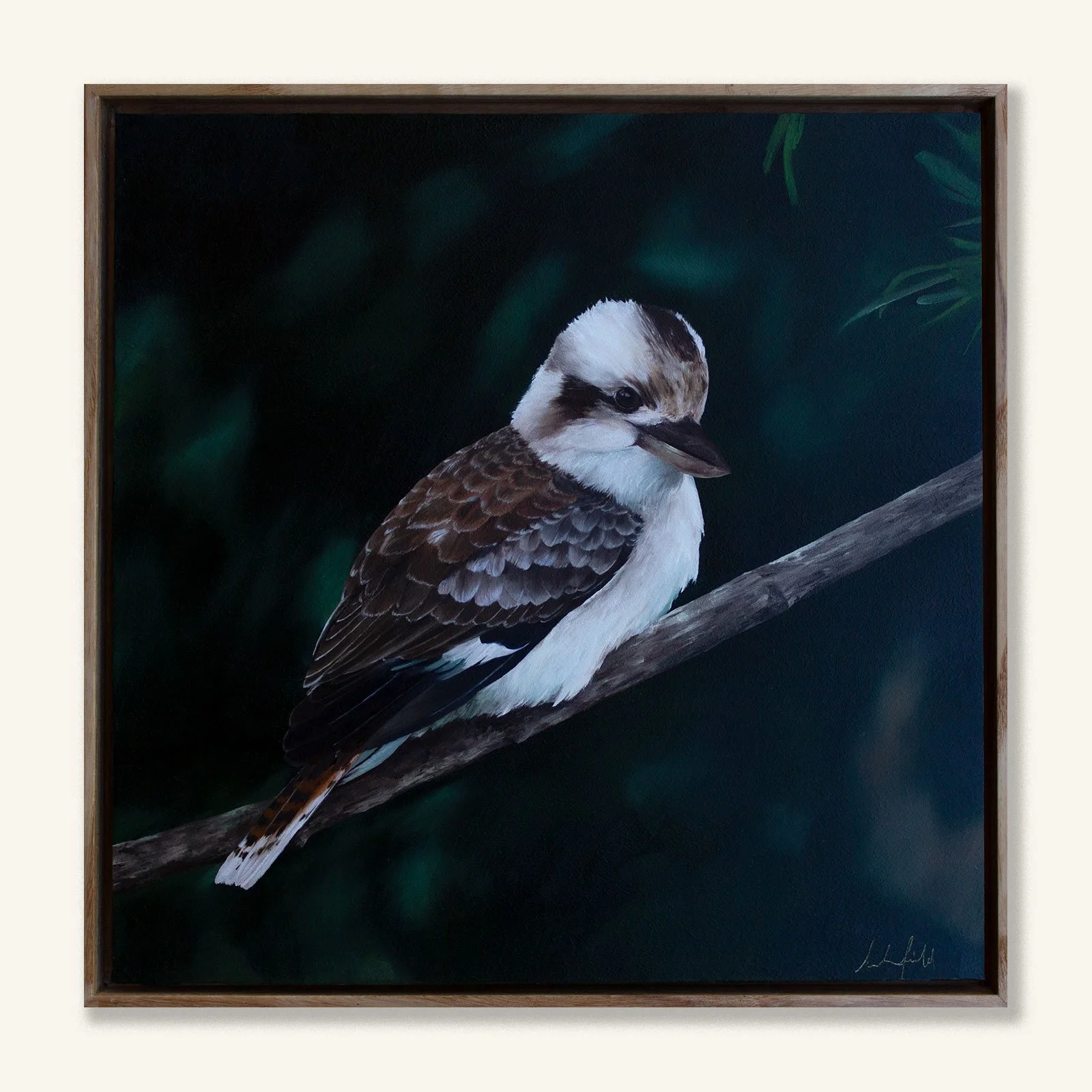 Kookaburra-Oil-Painting-Sarah-Field.jpg