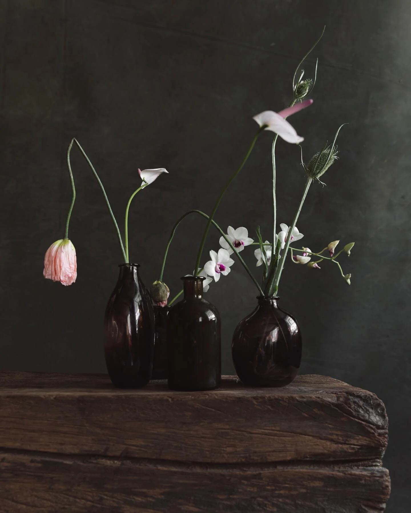 All green / Shooting 25&rsquo;