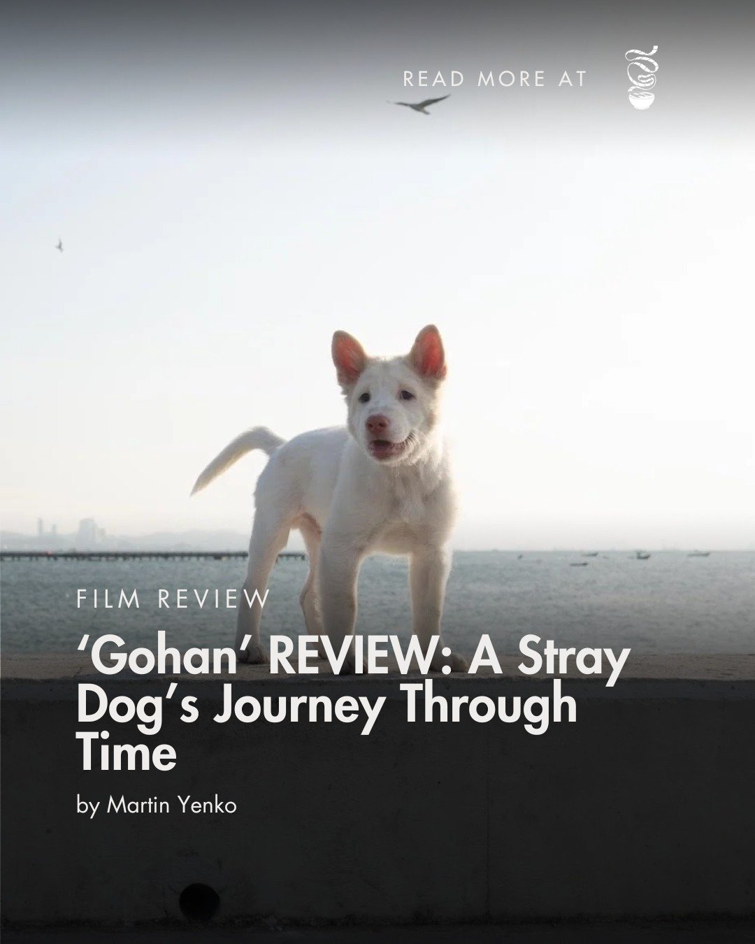 The brainchild of three distinct Thai directors &mdash; one of which includes Nattawut &ldquo;Baz&rdquo; Poonpiriya of Bad Genius fame, who also produced the film &mdash; 'Gohan' is another entry in the canine film canon, less an anthology and more o