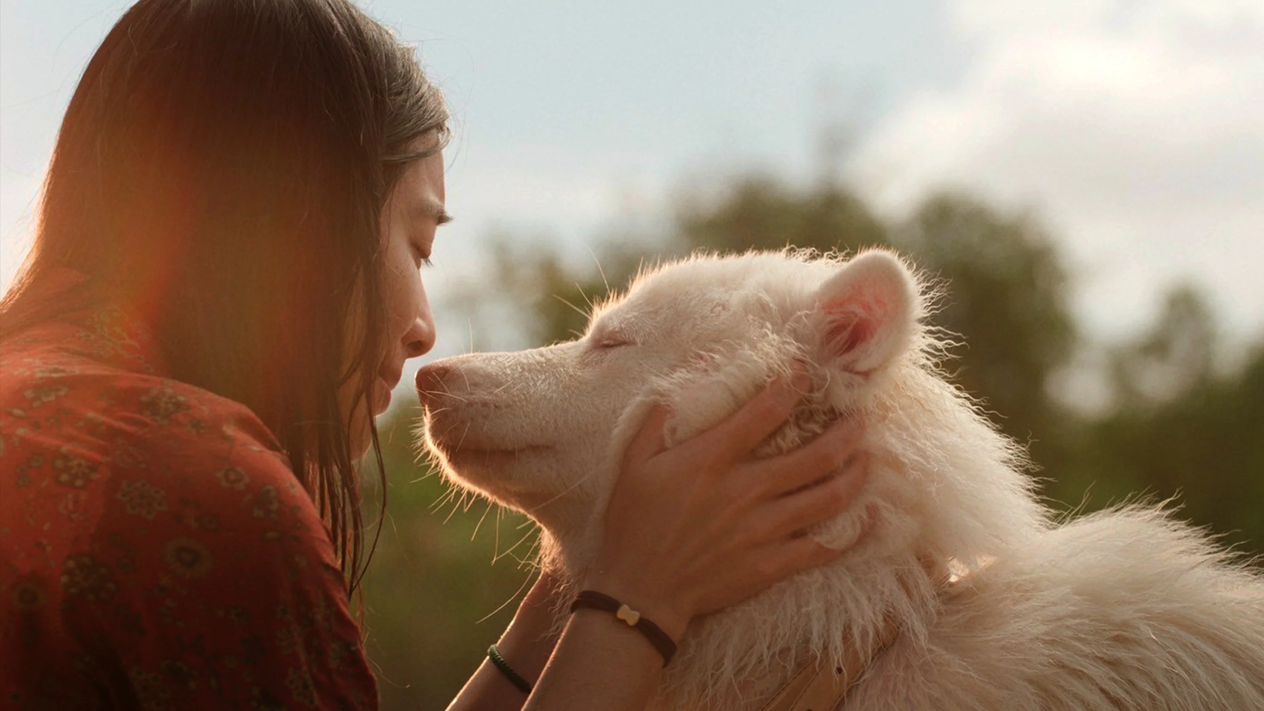 ‘Gohan’ REVIEW: A Stray Dog’s Journey Through Time