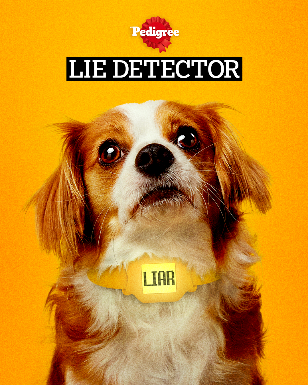 Pedigree Lie Detector