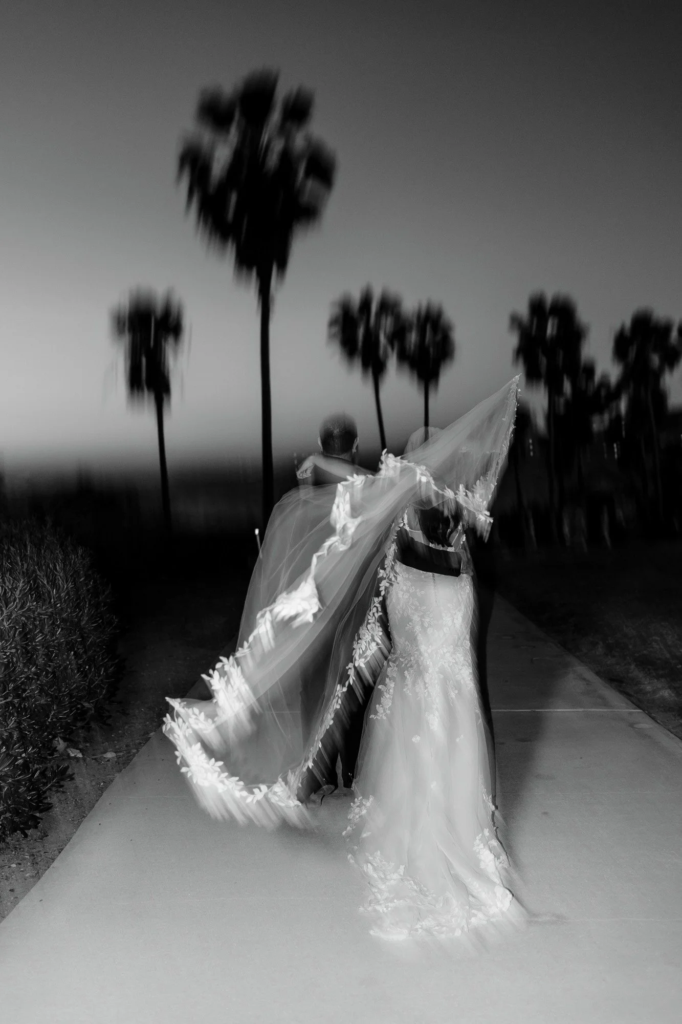 A couple dancing outdoors during sunset, with palm trees in the background, in a black and white photograph.