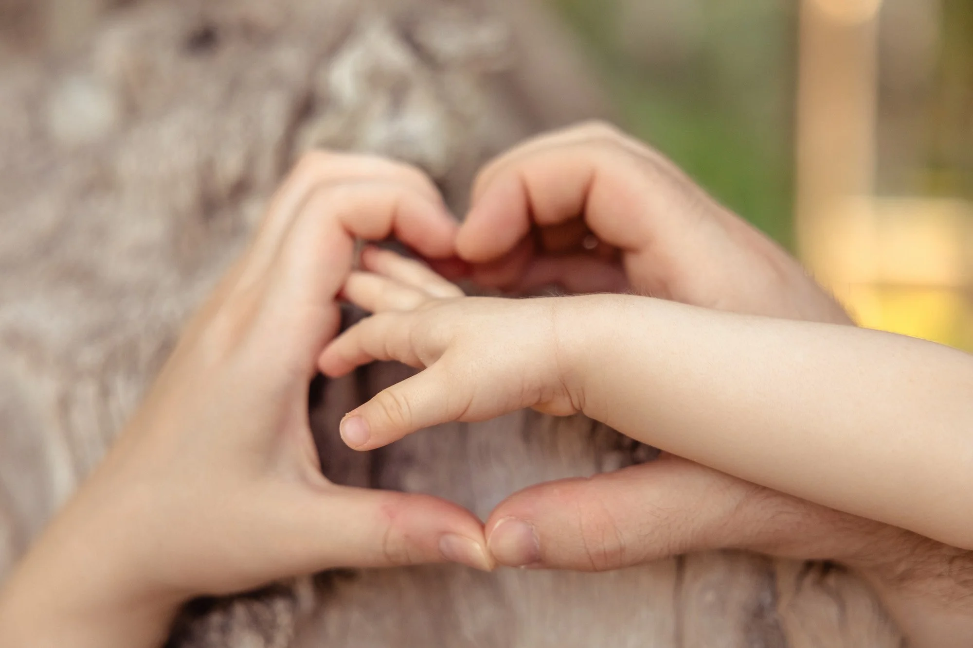 Two hands, one adult and one child, forming a heart shape together in front of a blurred natural background.
